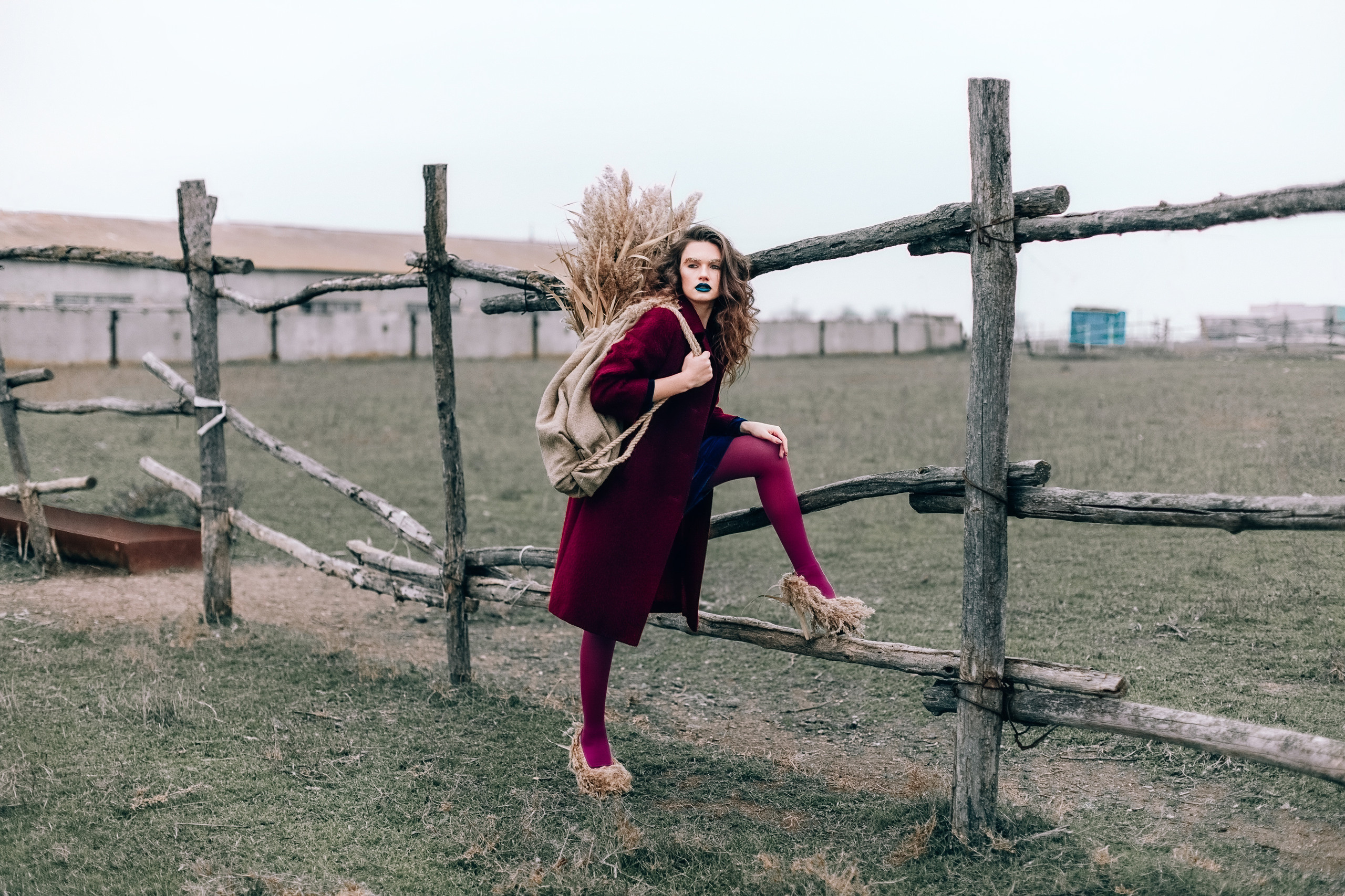 Wild bulrush. Diana Di — private photo editor for photographers