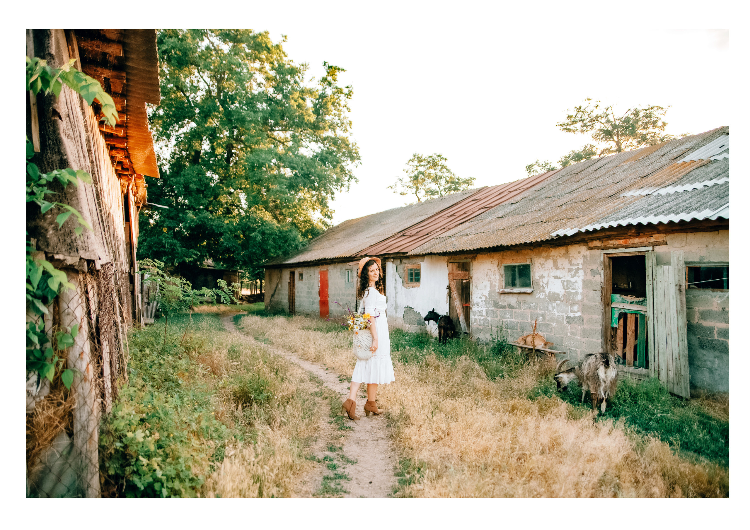 Sunny Love. Diana Di — private photo editor for photographers