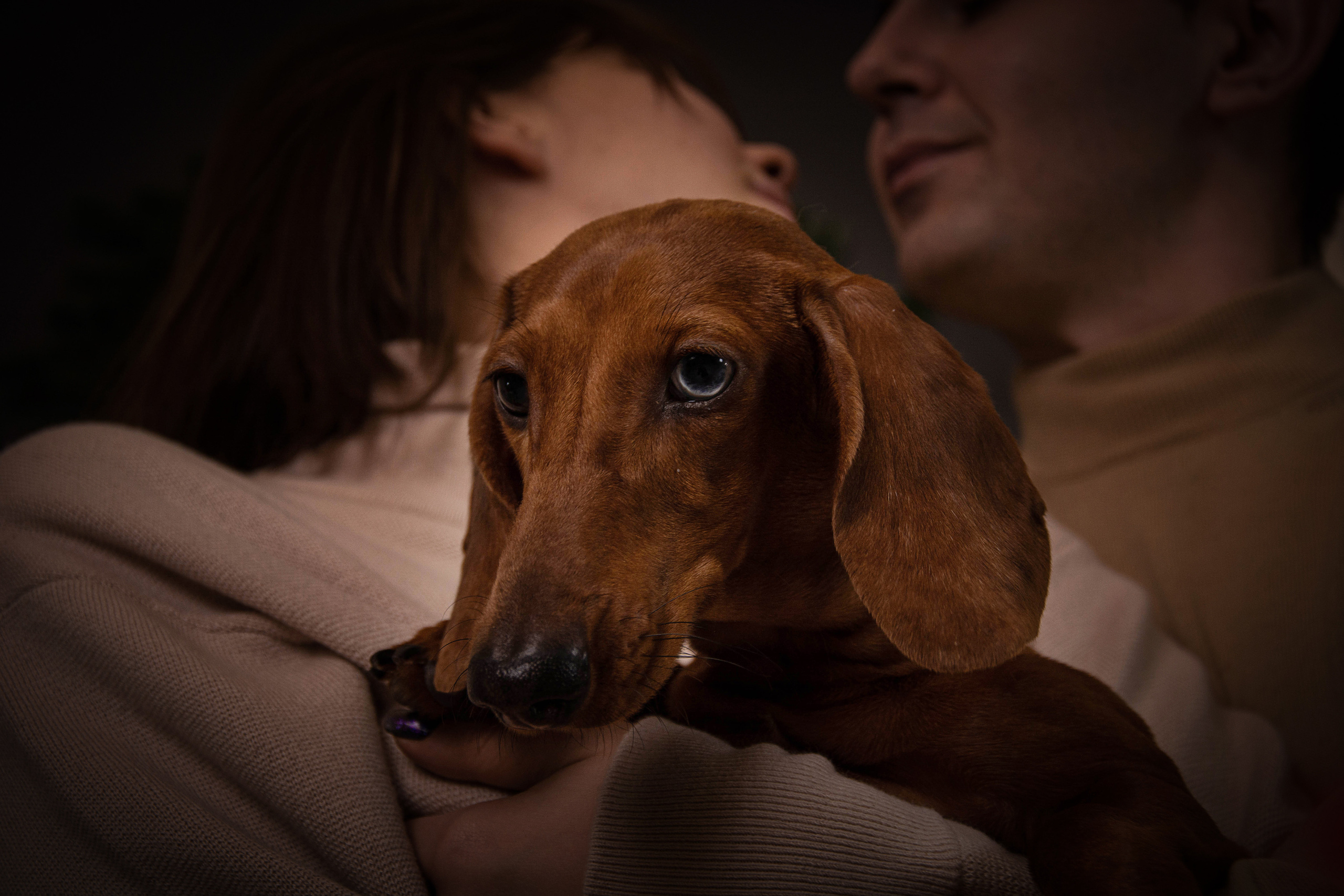 Семейные фотосессии. Семейный и церковный фотограф в Одессе Мария Мирная