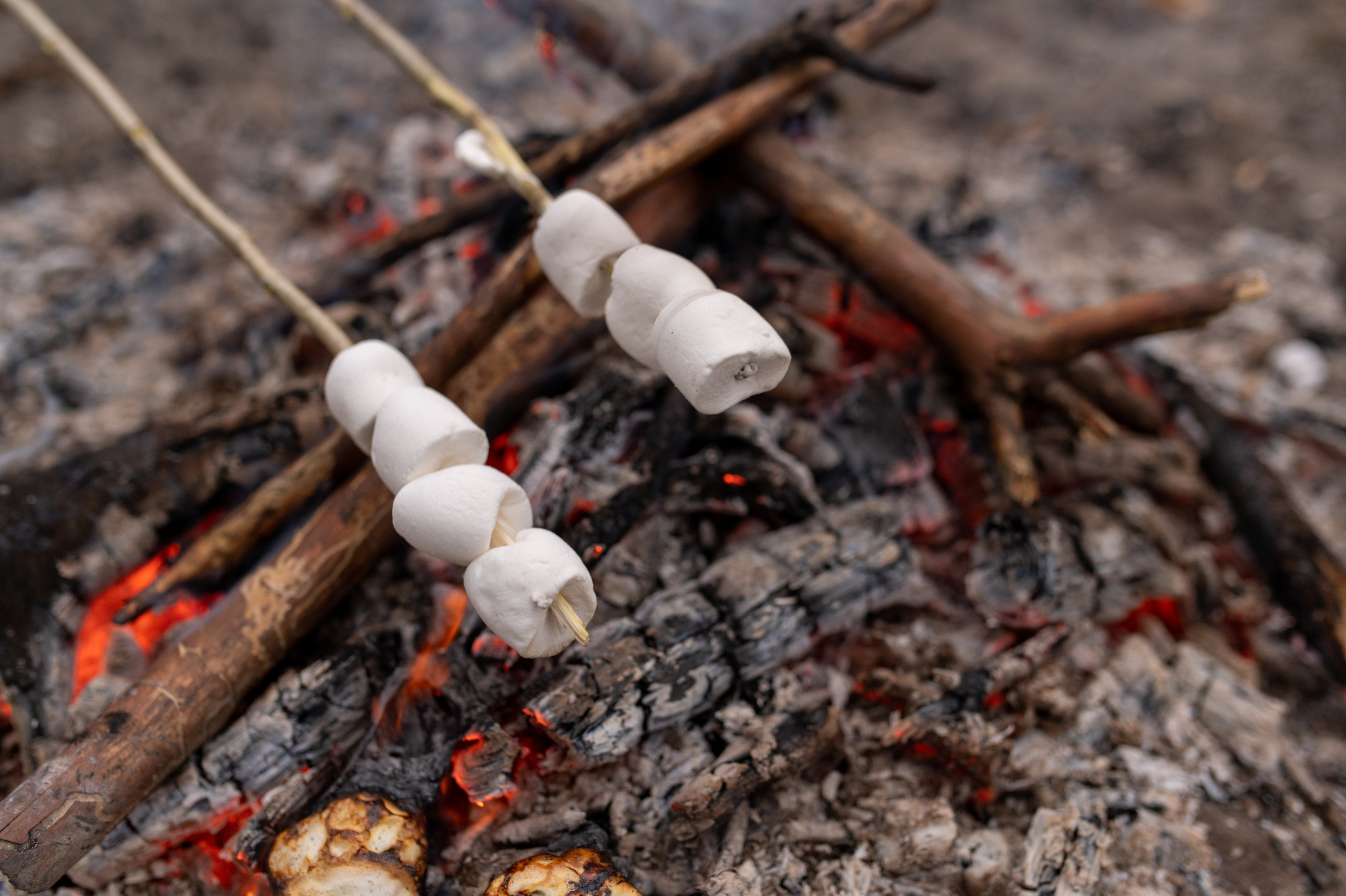 Осеннее лавстори Lovestory на берегу моря. Весільний і портретний фотограф в Києві Євген Ковачов