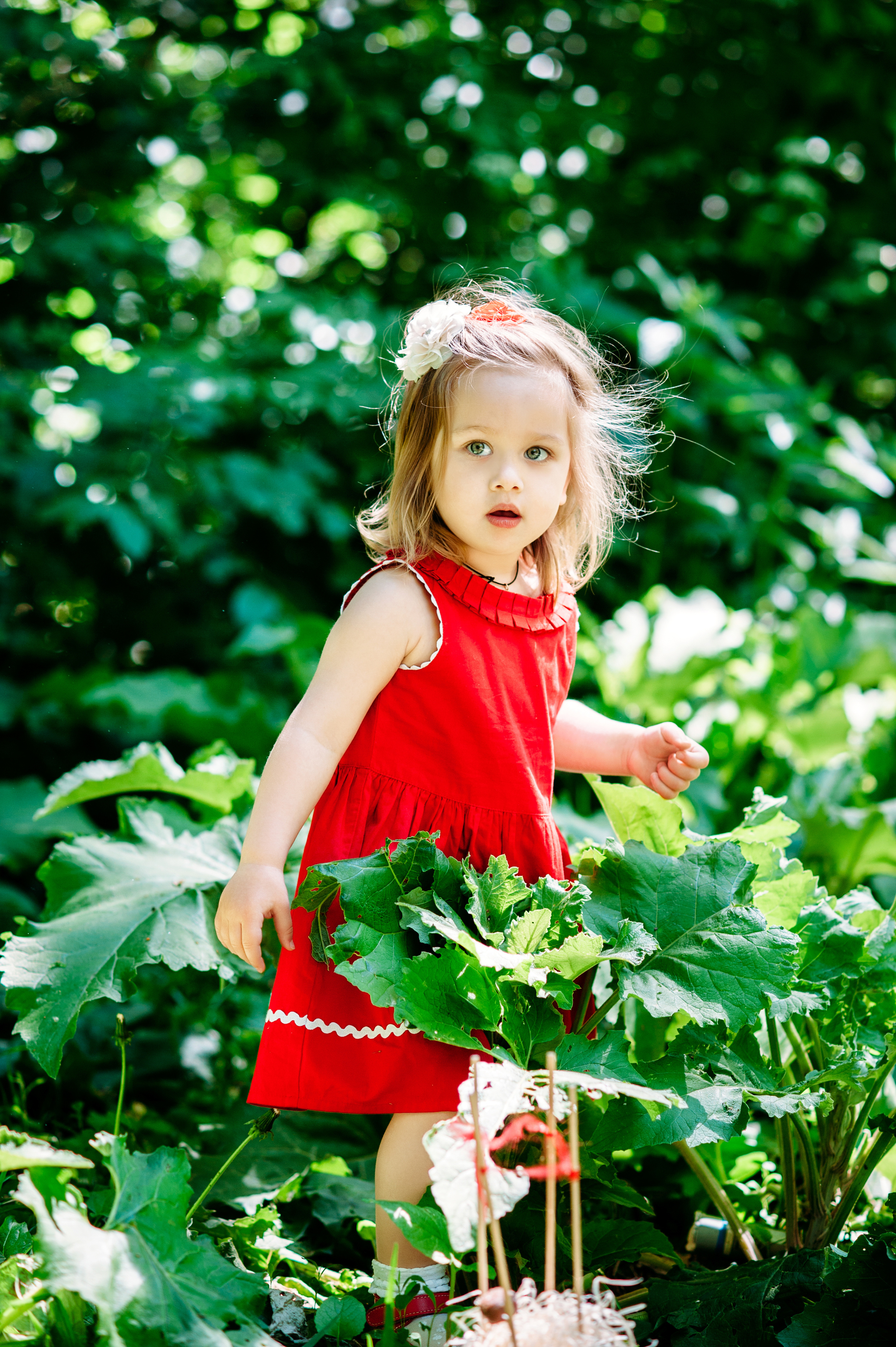 Wedding family photographer Alicante Benidorm Valencia Costa Blanca