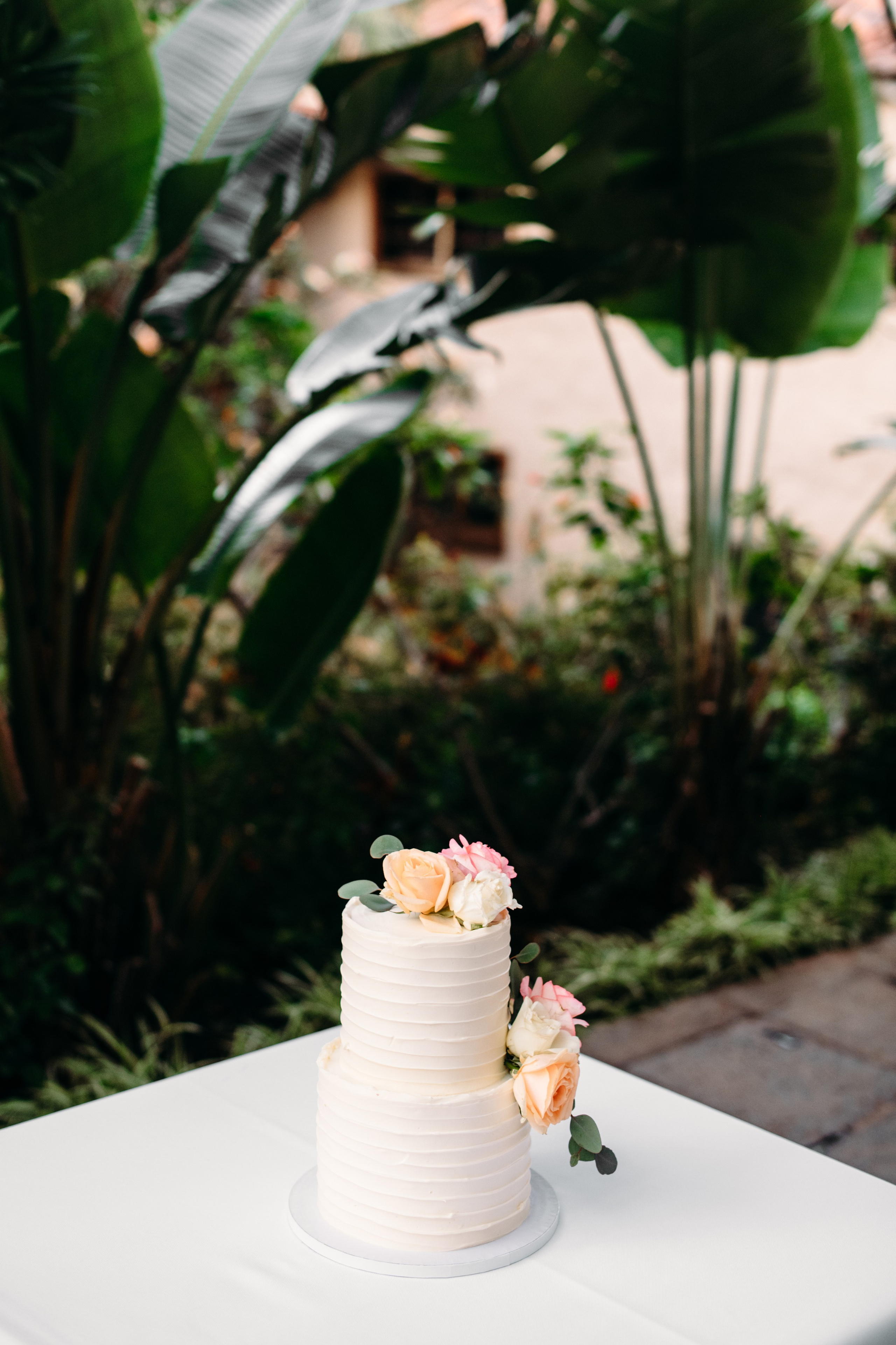 M&M. Tenerife wedding. Wedding family photographer Alicante Benidorm Valencia Costa Blanca