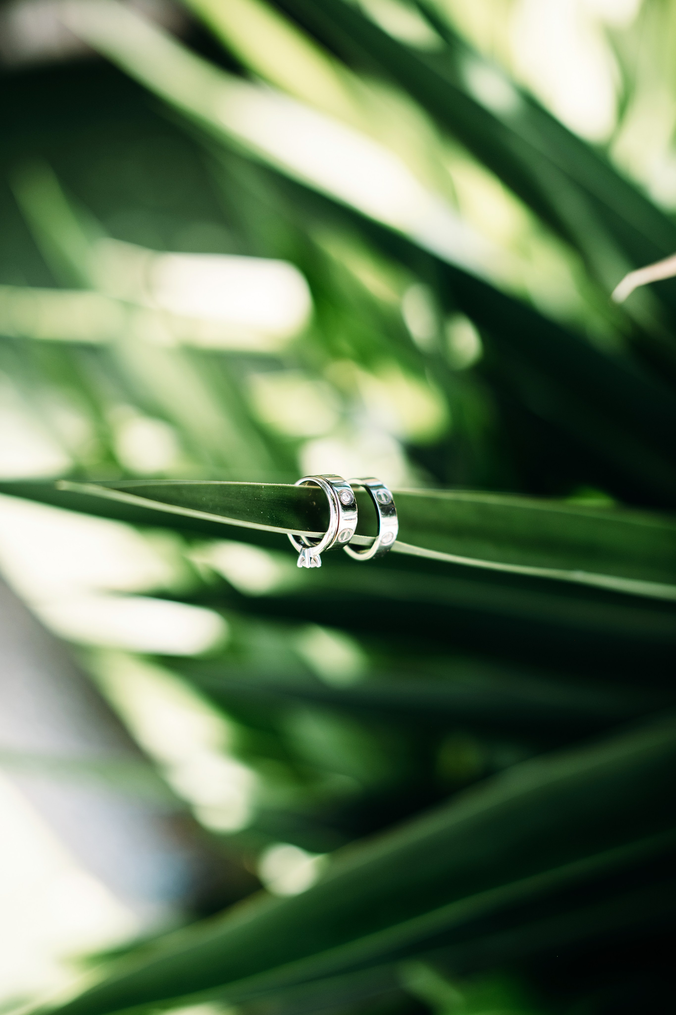 M+Y. Intimate Tenerife wedding. Wedding family photographer Alicante Benidorm Valencia Costa Blanca