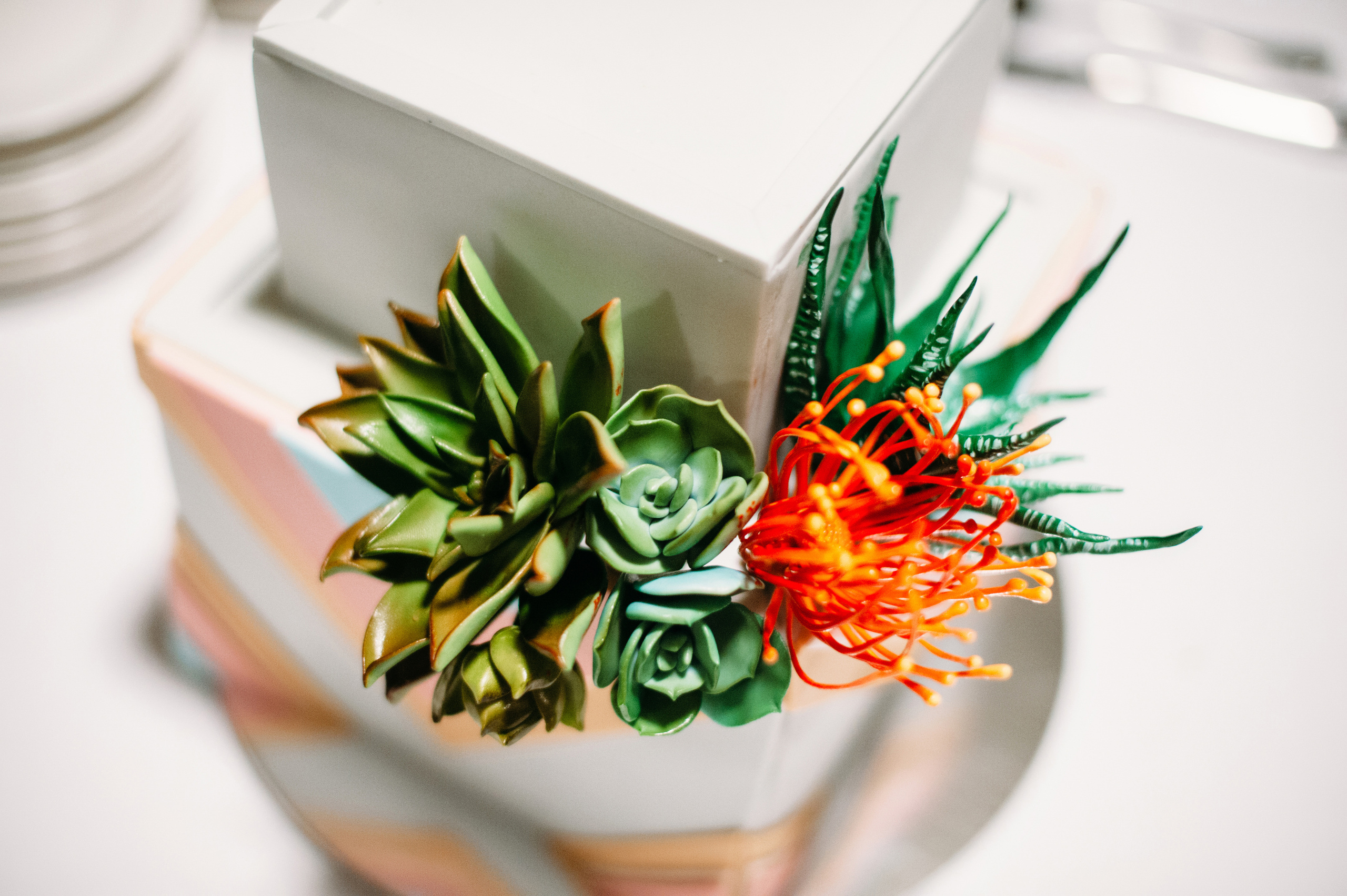 N+V. Wedding family photographer Alicante Benidorm Valencia Costa Blanca