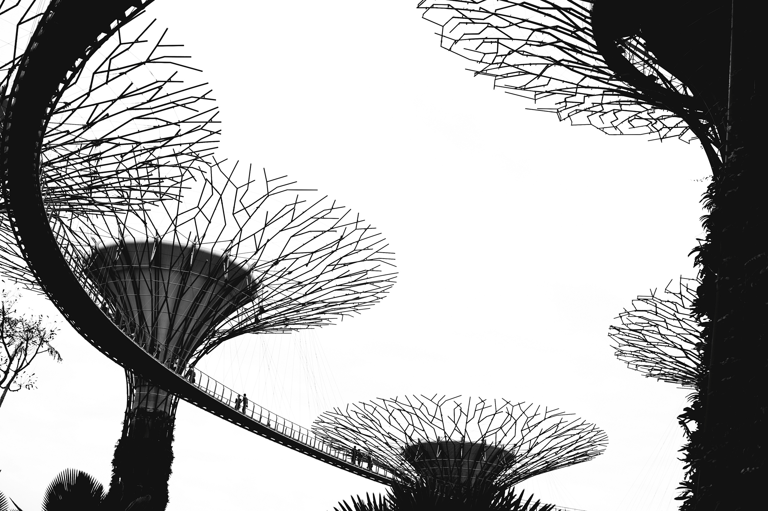 Blog. Wedding family photographer Alicante Benidorm Valencia Costa Blanca