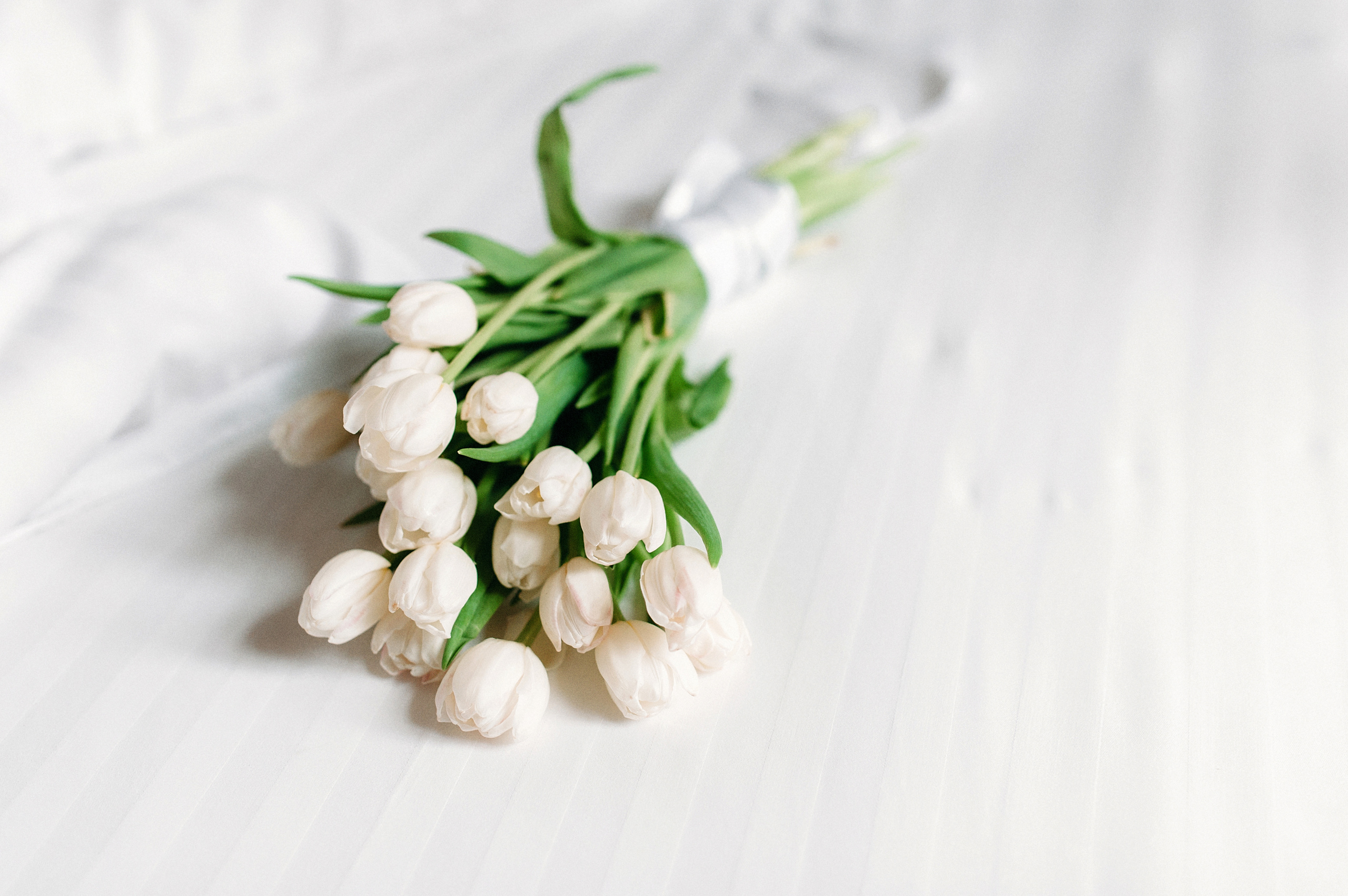 Kriss. Wedding family photographer Alicante Benidorm Valencia Costa Blanca