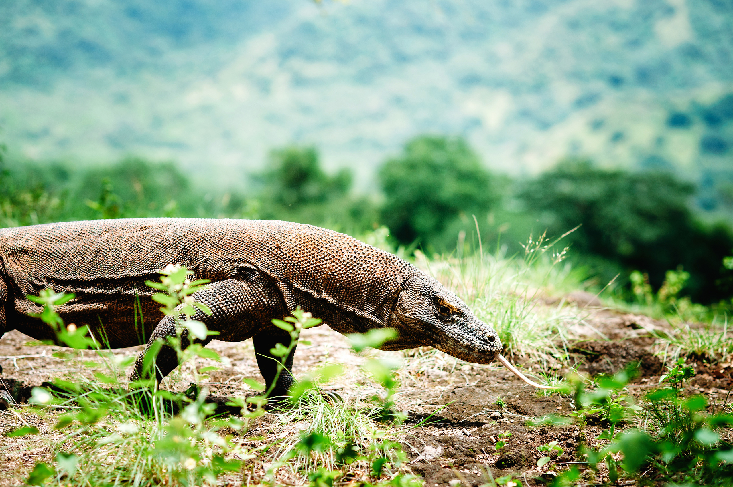 Blog. Wedding family photographer Alicante Benidorm Valencia Costa Blanca