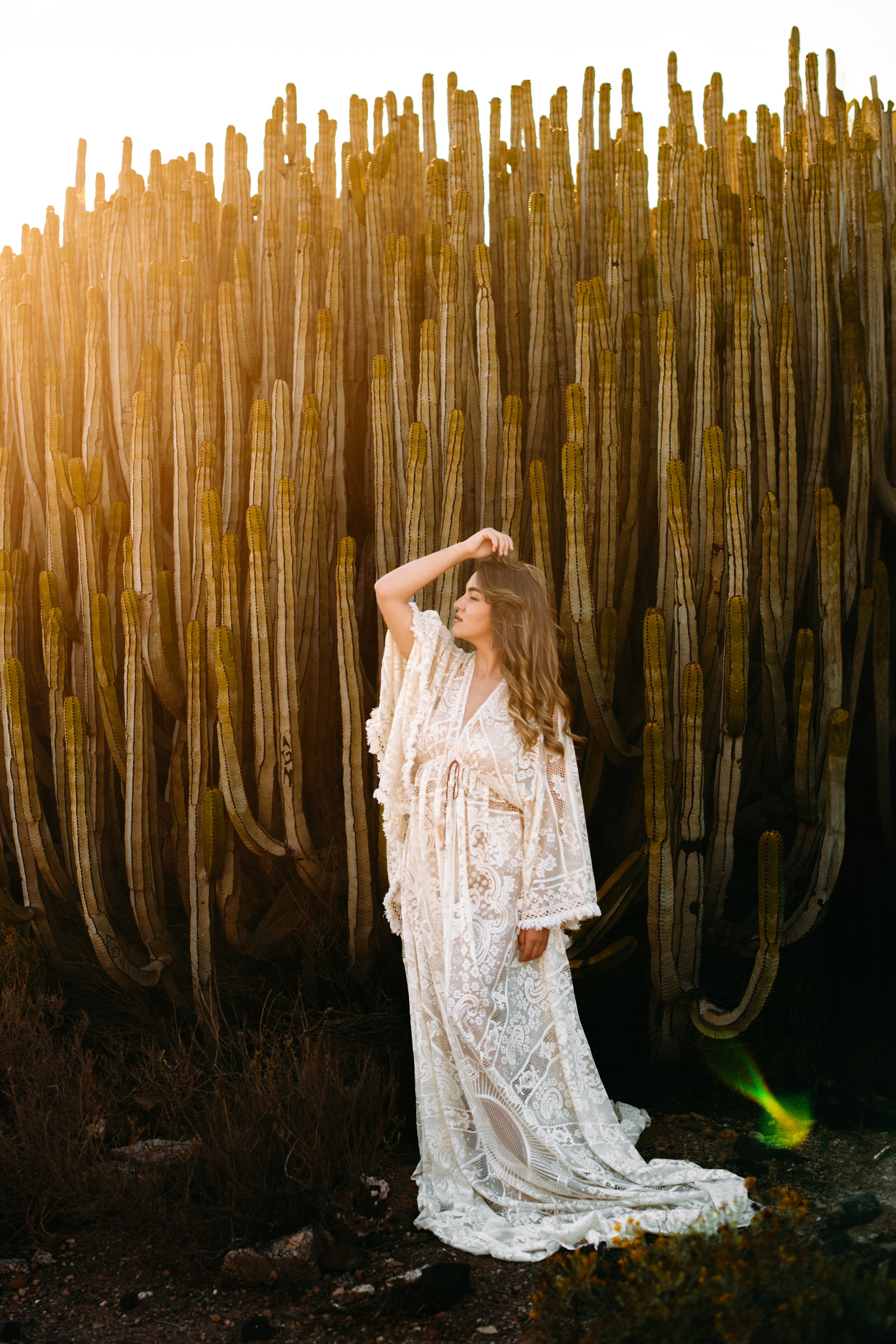 Desert Rose. Fotografo de boda, familia Alicante Benidorm Valencia Costa Blanca