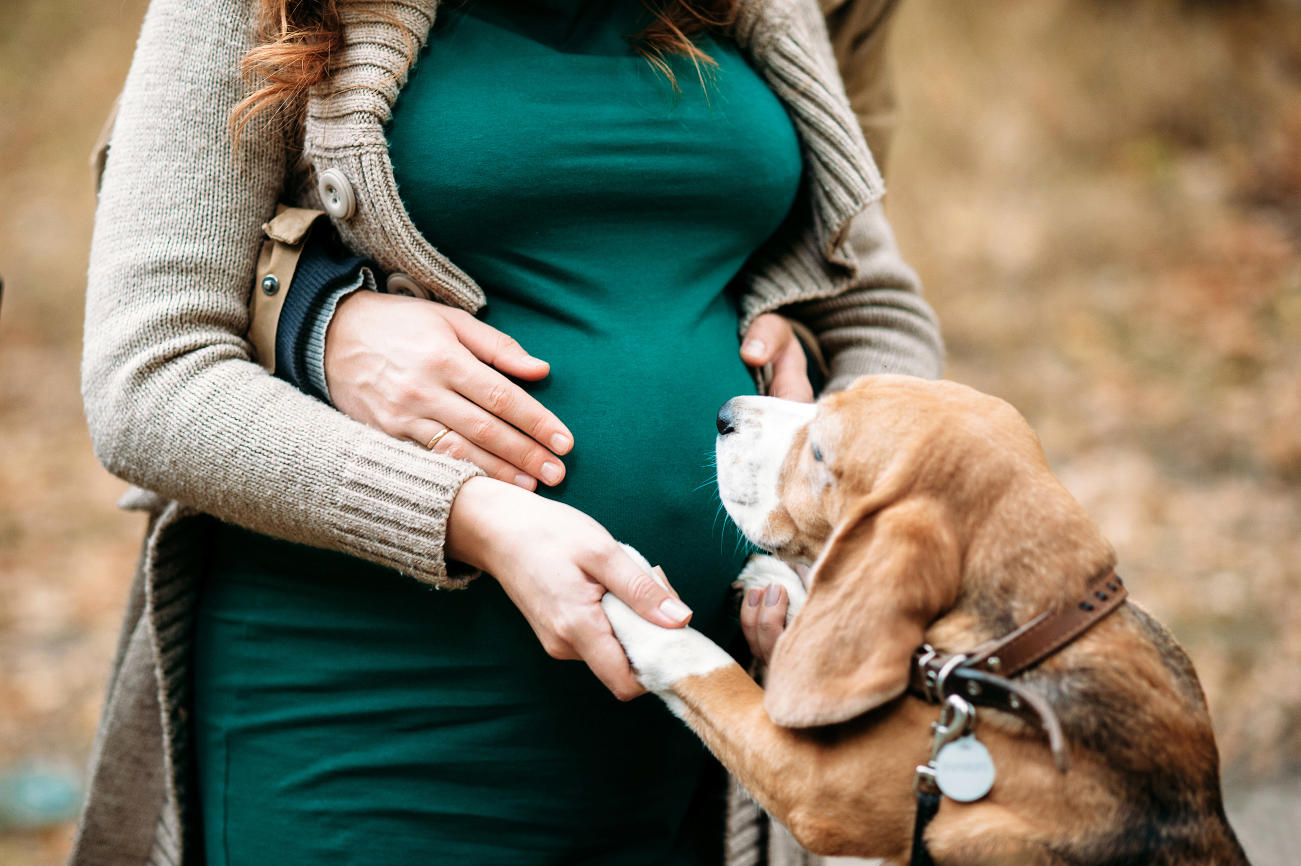 D+A. Autumn miracle. Wedding family photographer Alicante Benidorm Valencia Costa Blanca