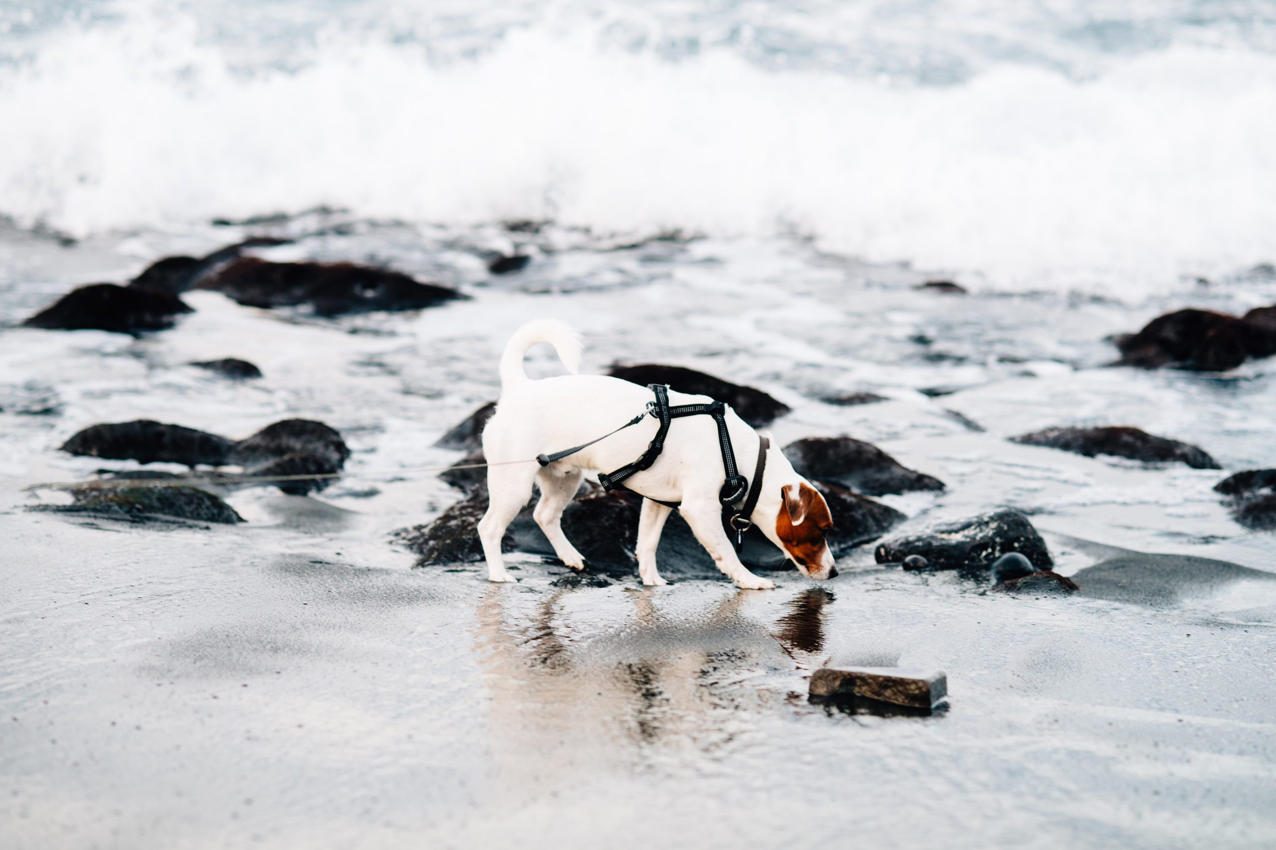 V+R. Playa La Arena. Fotografo de boda, familia Alicante Benidorm Valencia Costa Blanca