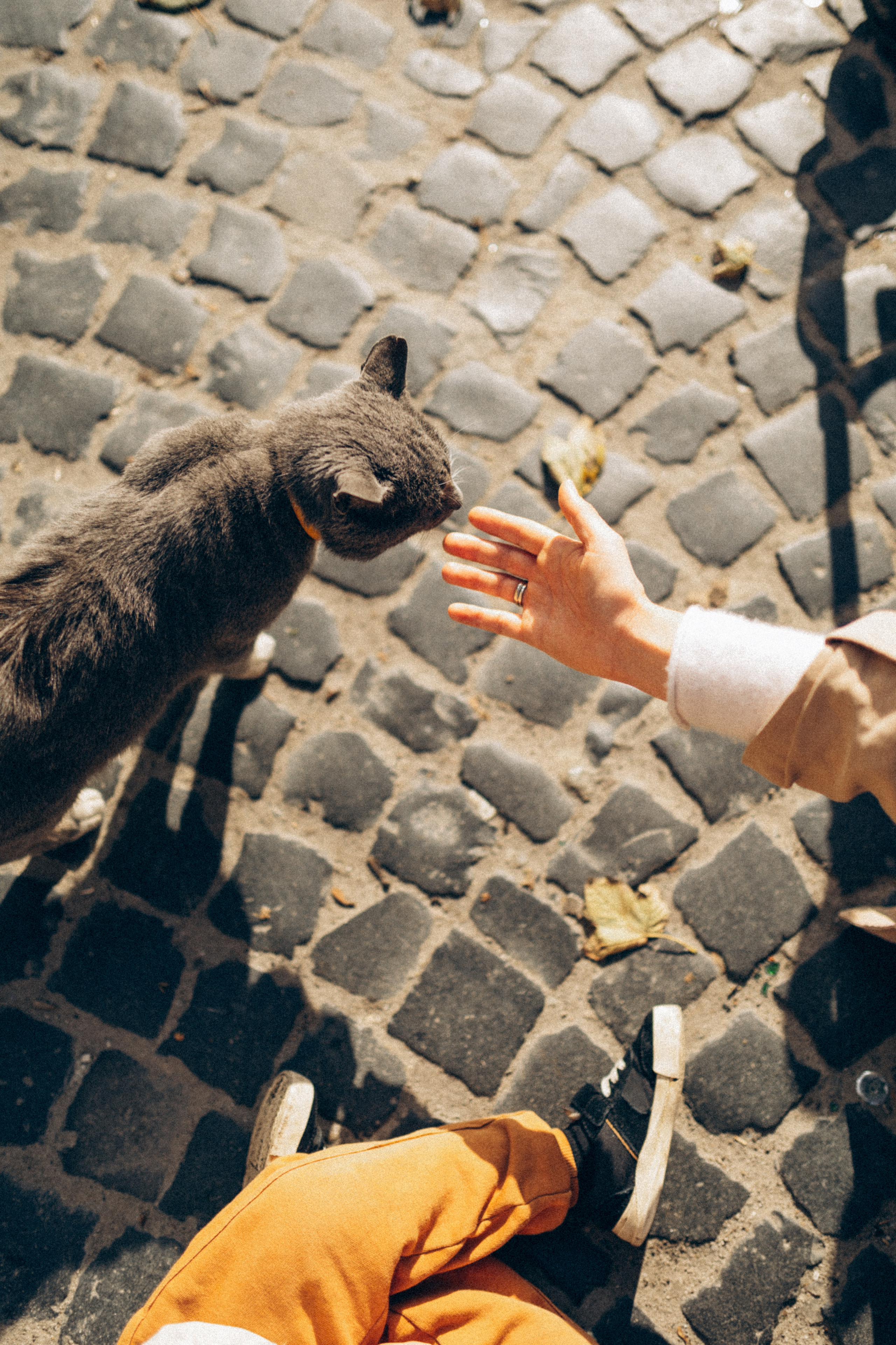 ♡. Фотограф Львів | Портретна фотозйомка| Лав сторі фотосесія