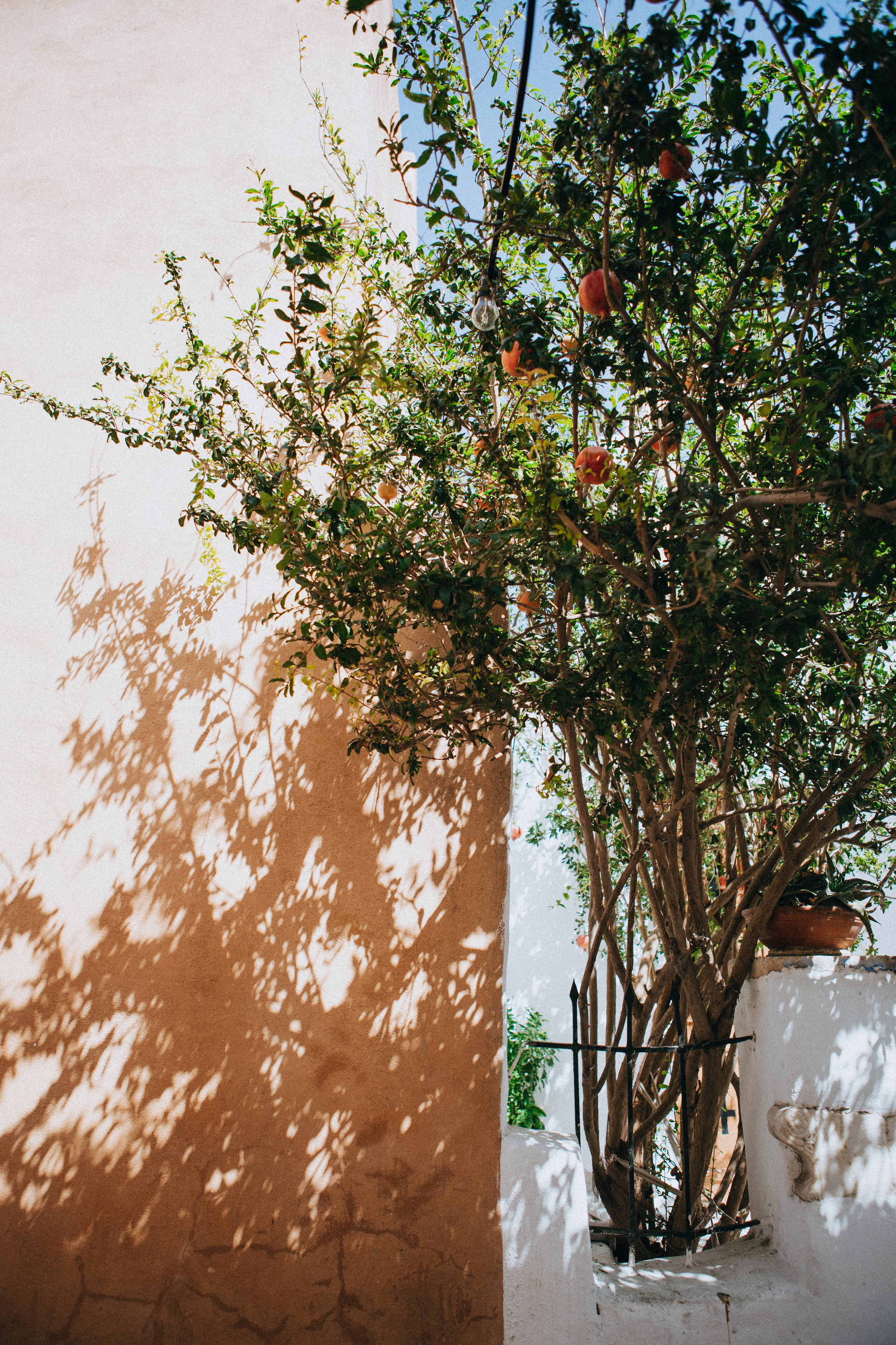 Moments of life…. Portrait photographer in Lviv and Athens | Love story photographer