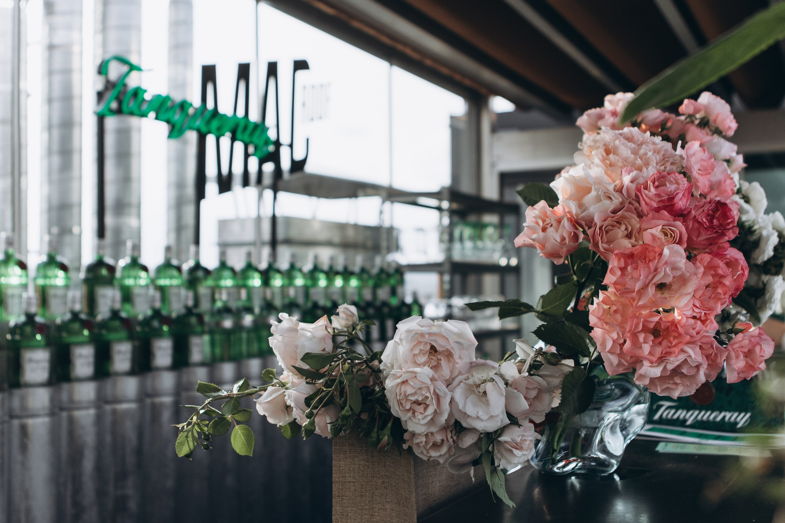 Tanqueray. Portrait photographer in Lviv and Athens | Love story photographer