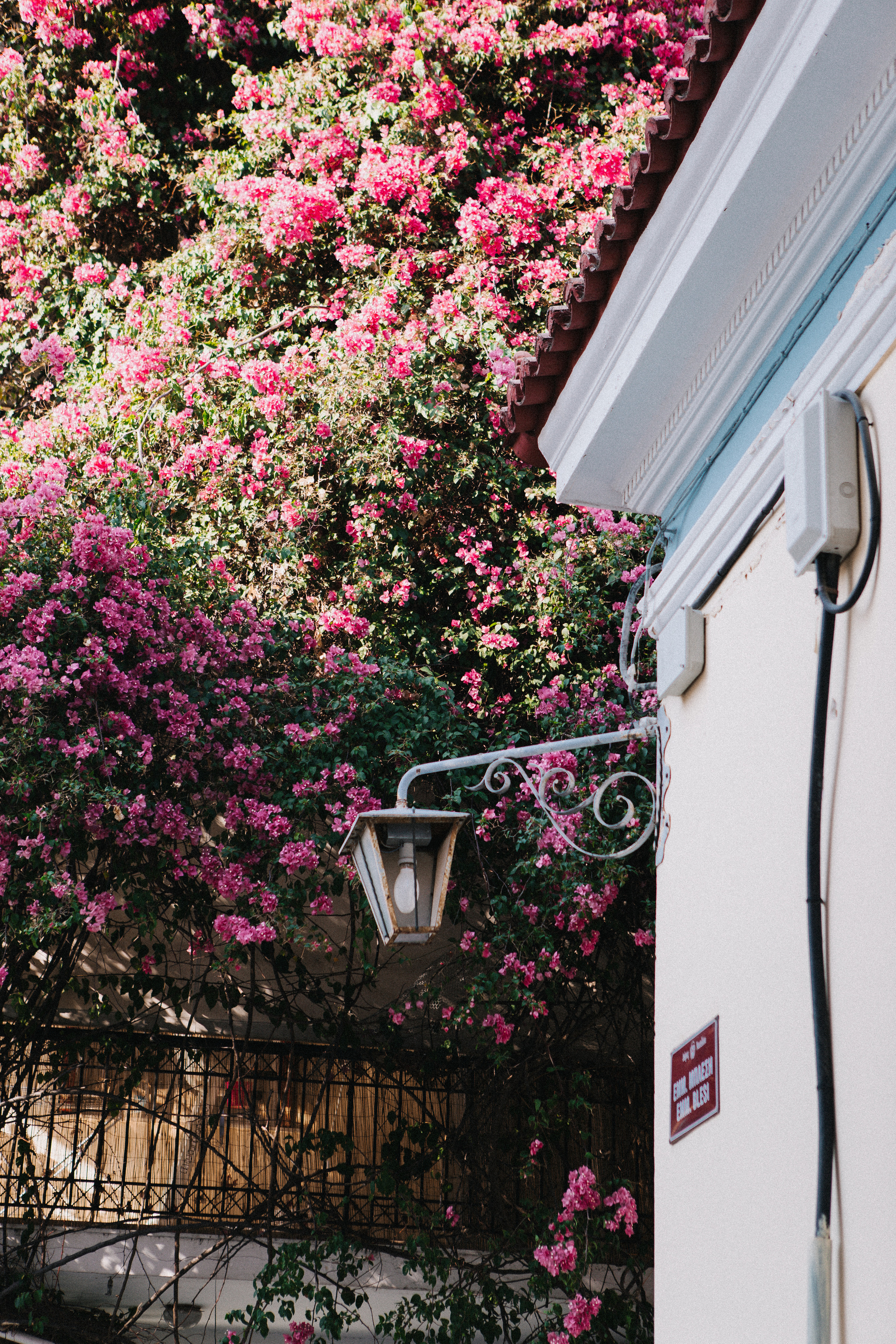 Moments of life…. Portrait photographer in Lviv and Athens | Love story photographer