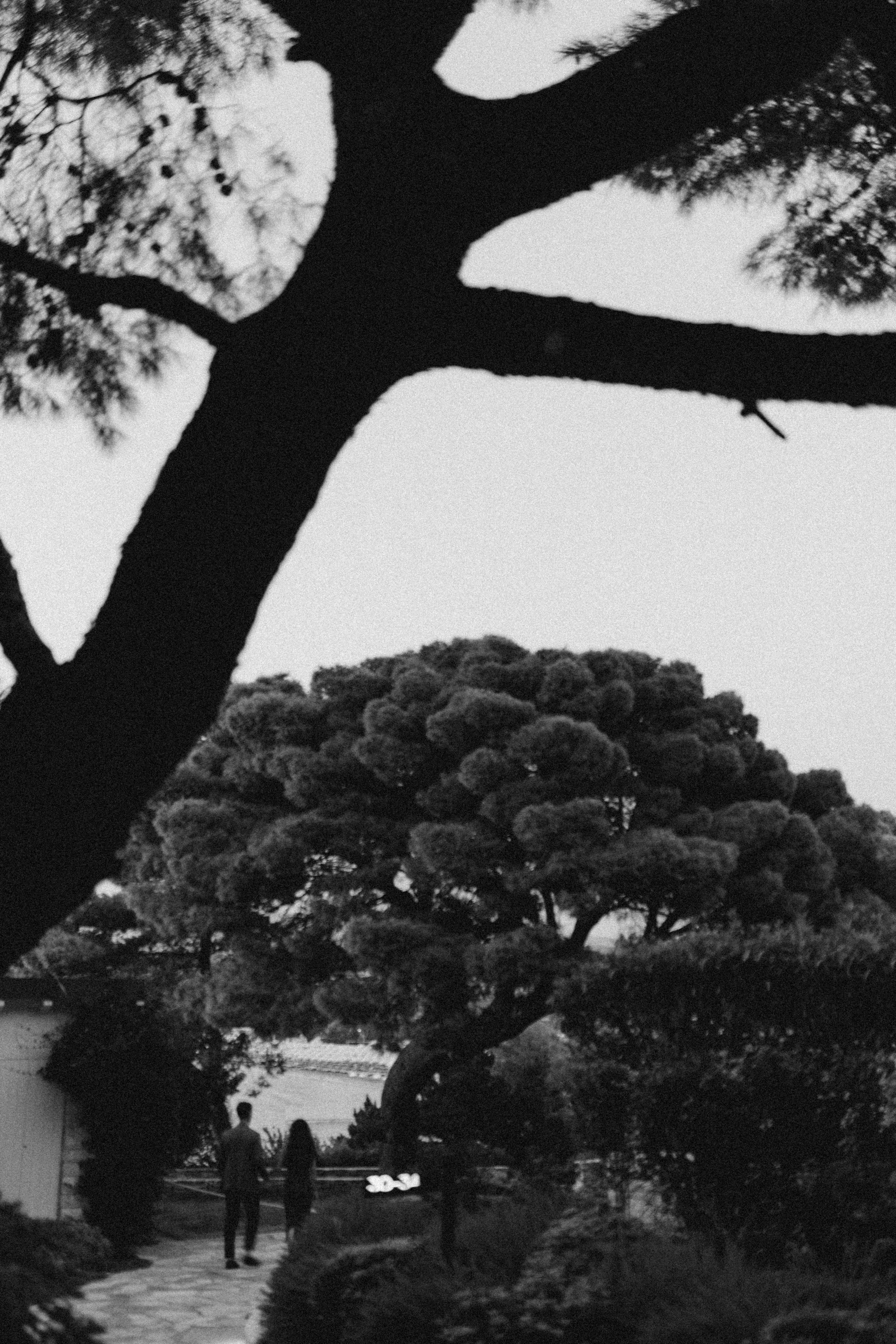 B&N. Portrait photographer in Lviv and Athens | Love story photographer