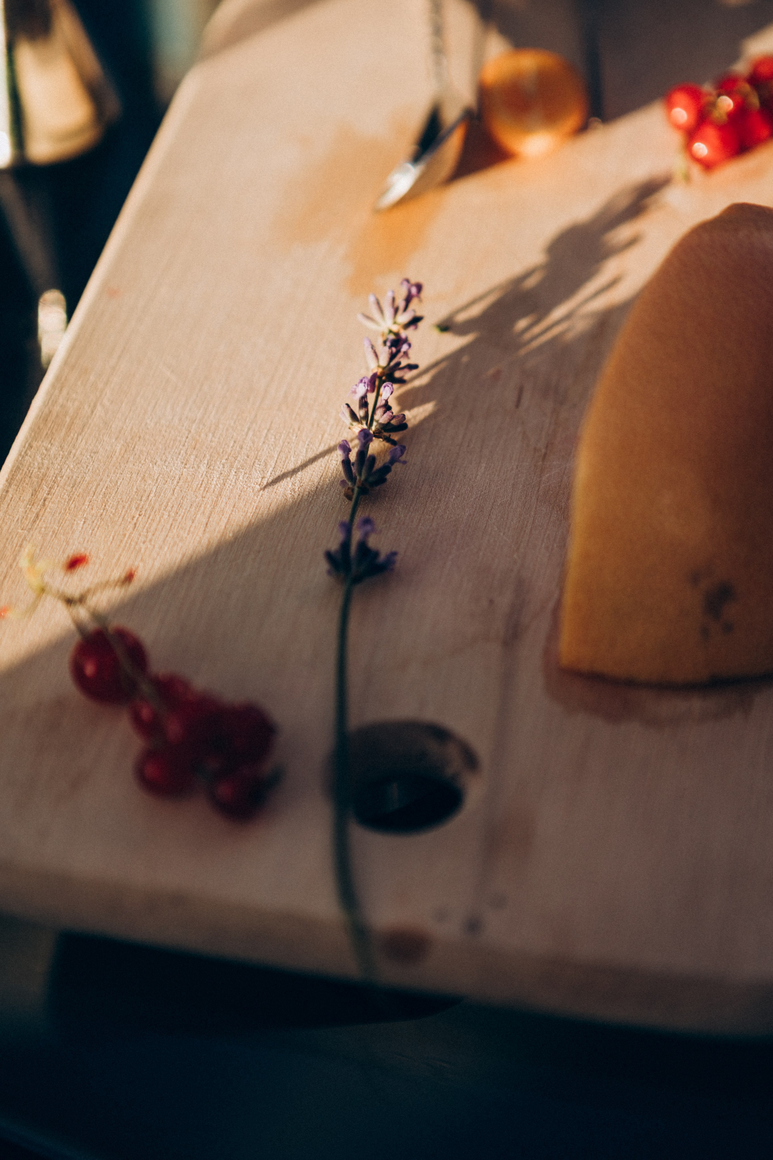 Tanqueray. Portrait photographer in Lviv and Athens | Love story photographer