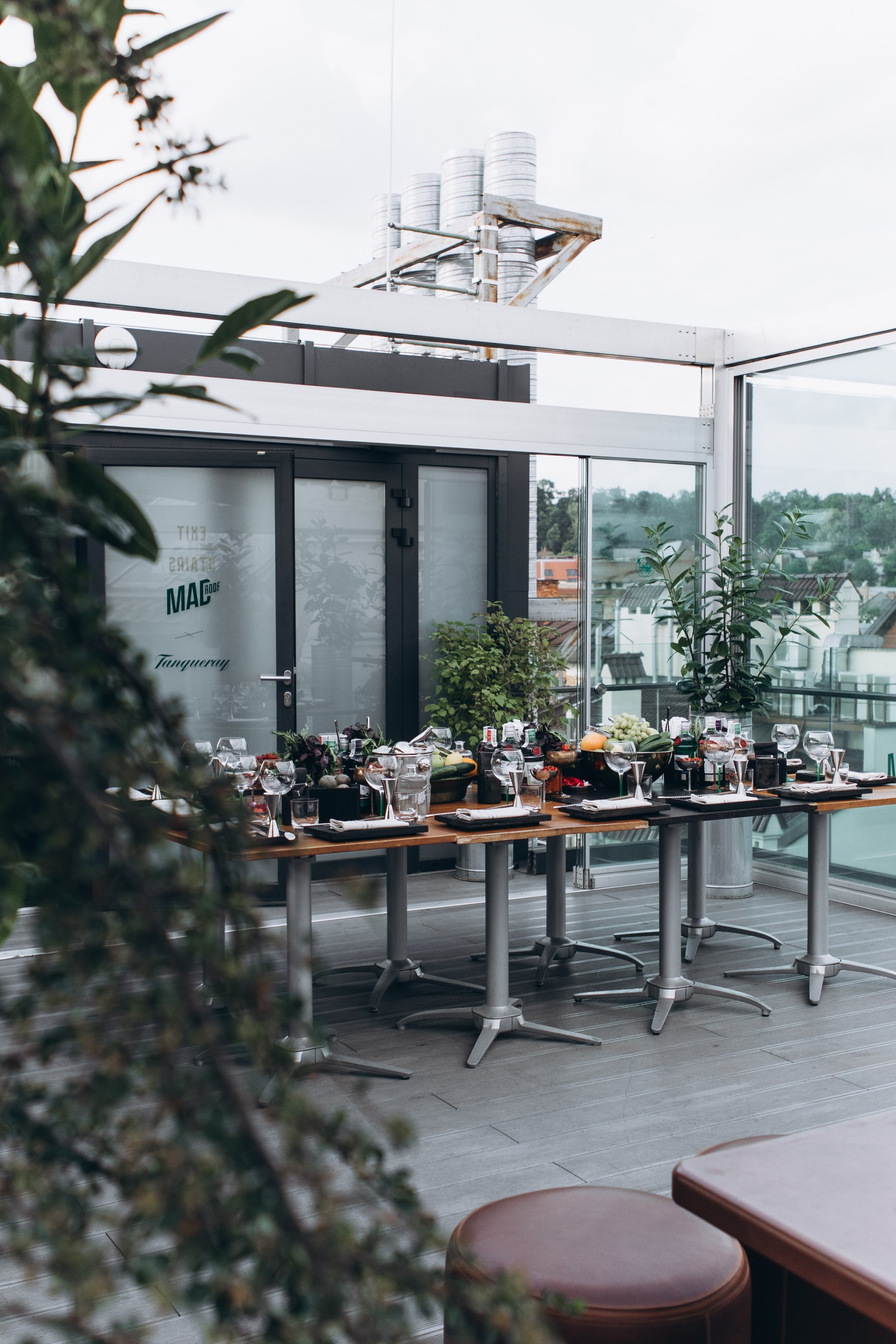 Tanqueray. Portrait photographer in Lviv and Athens | Love story photographer