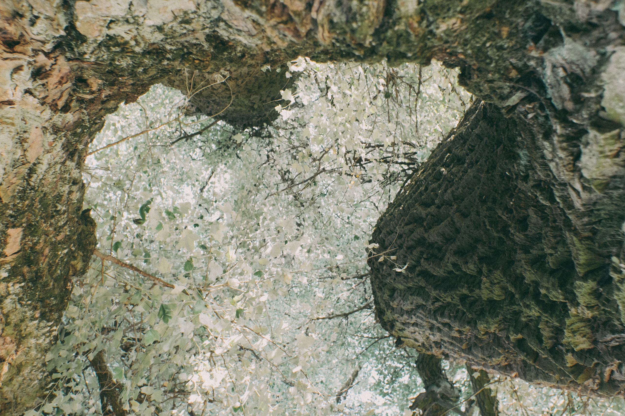 Moments of life…. Portrait photographer in Lviv and Athens | Love story photographer