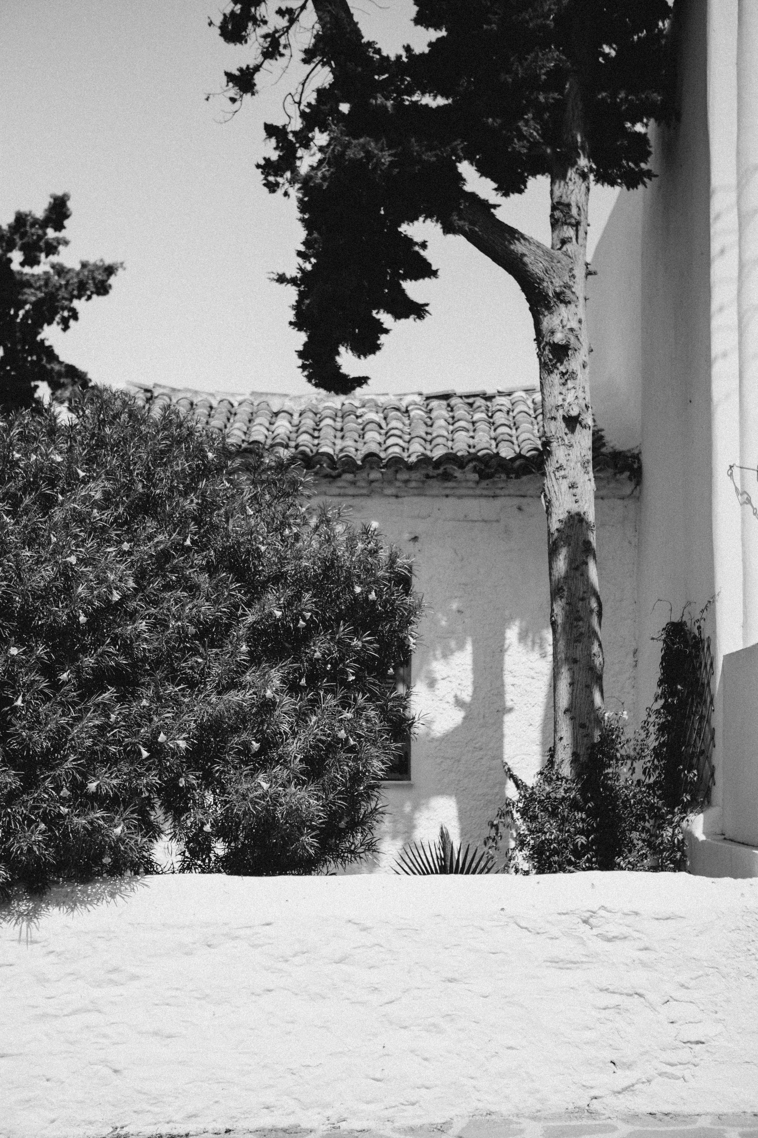 Moments of life…. Portrait photographer in Lviv and Athens | Love story photographer