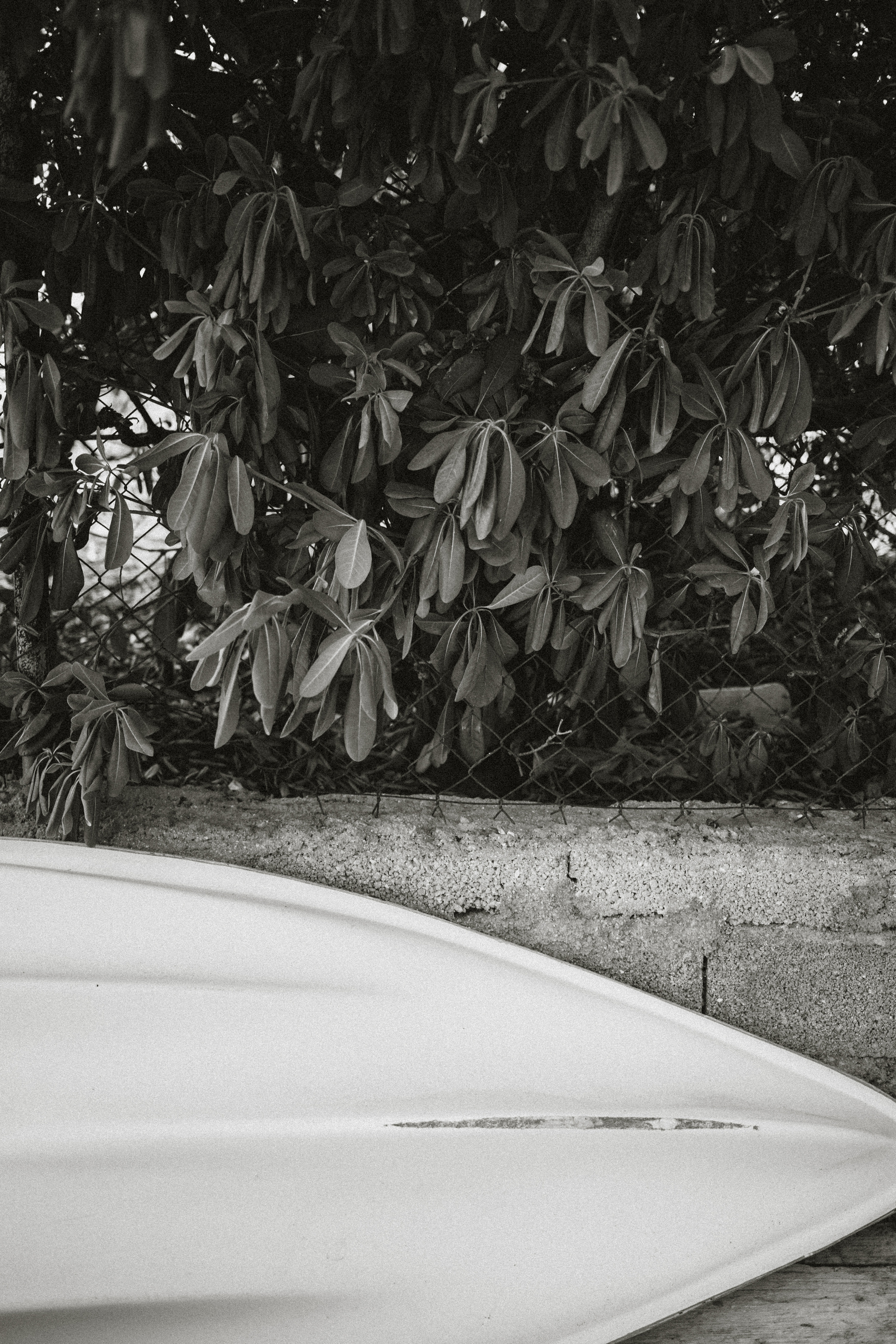 Moments of life…. Portrait photographer in Lviv and Athens | Love story photographer