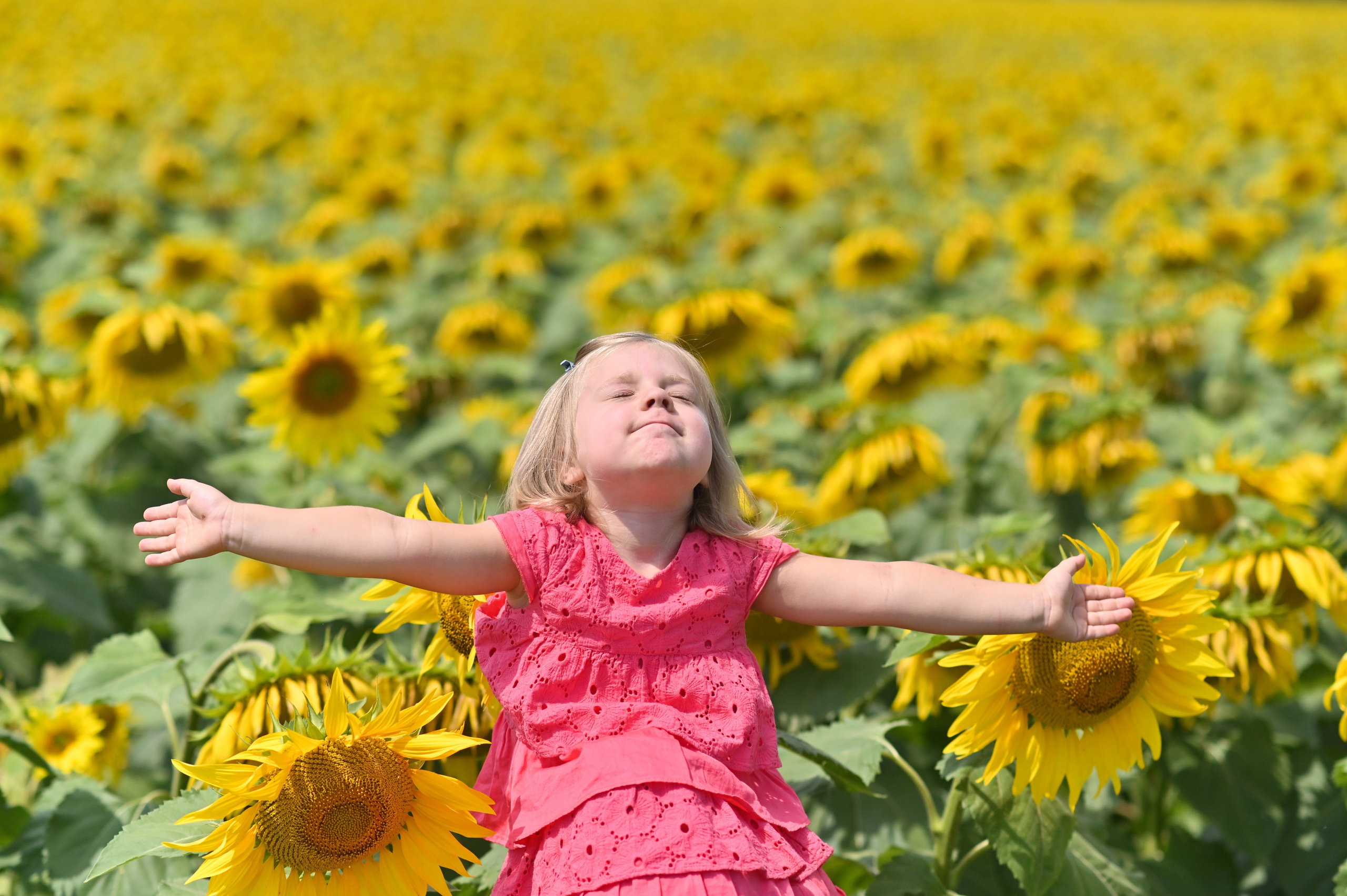 Фотосессия на пленере. Детский и семейный фотограф Алёна Васильева