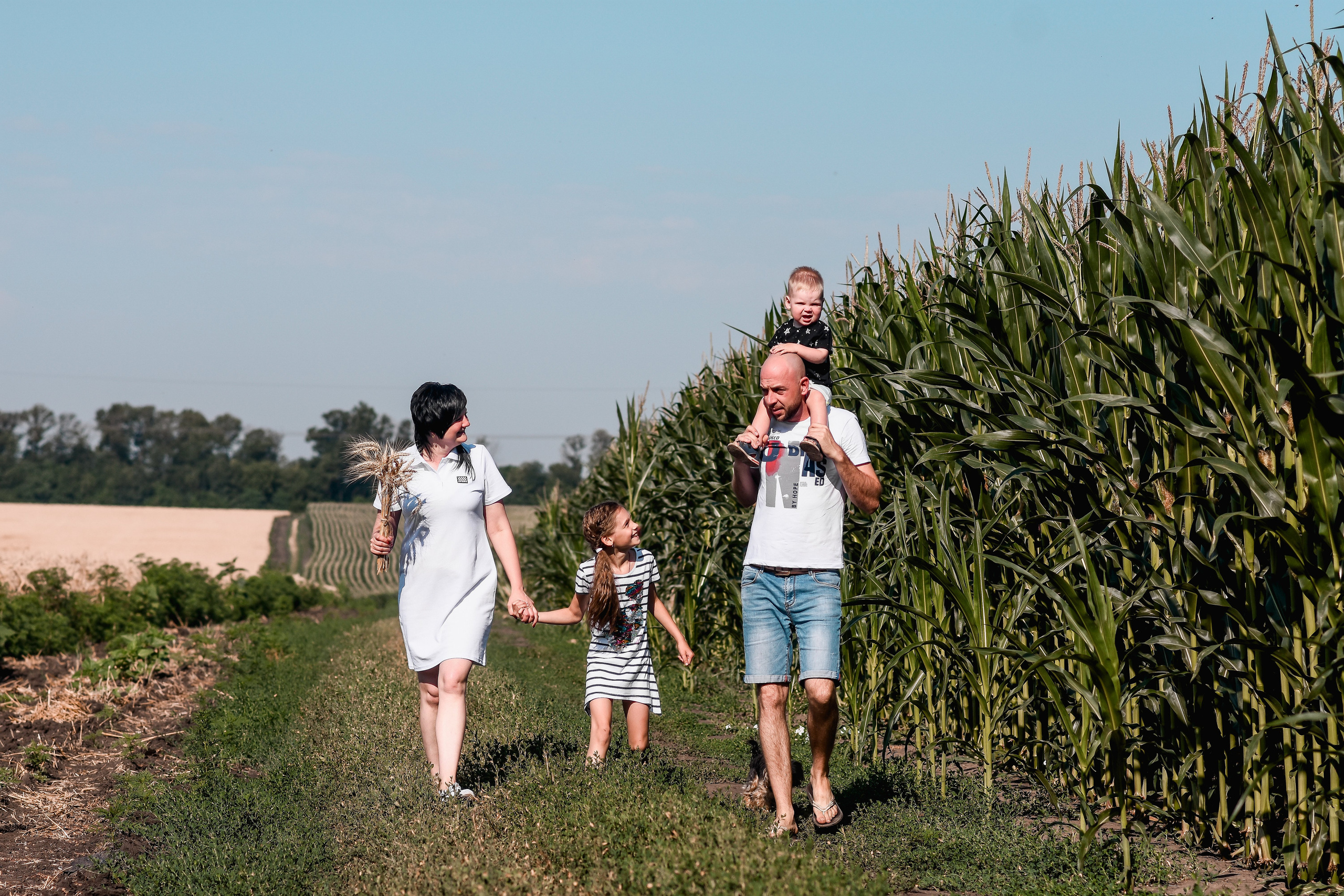 Семейная съёмка. Детский и семейный фотограф Алёна Васильева