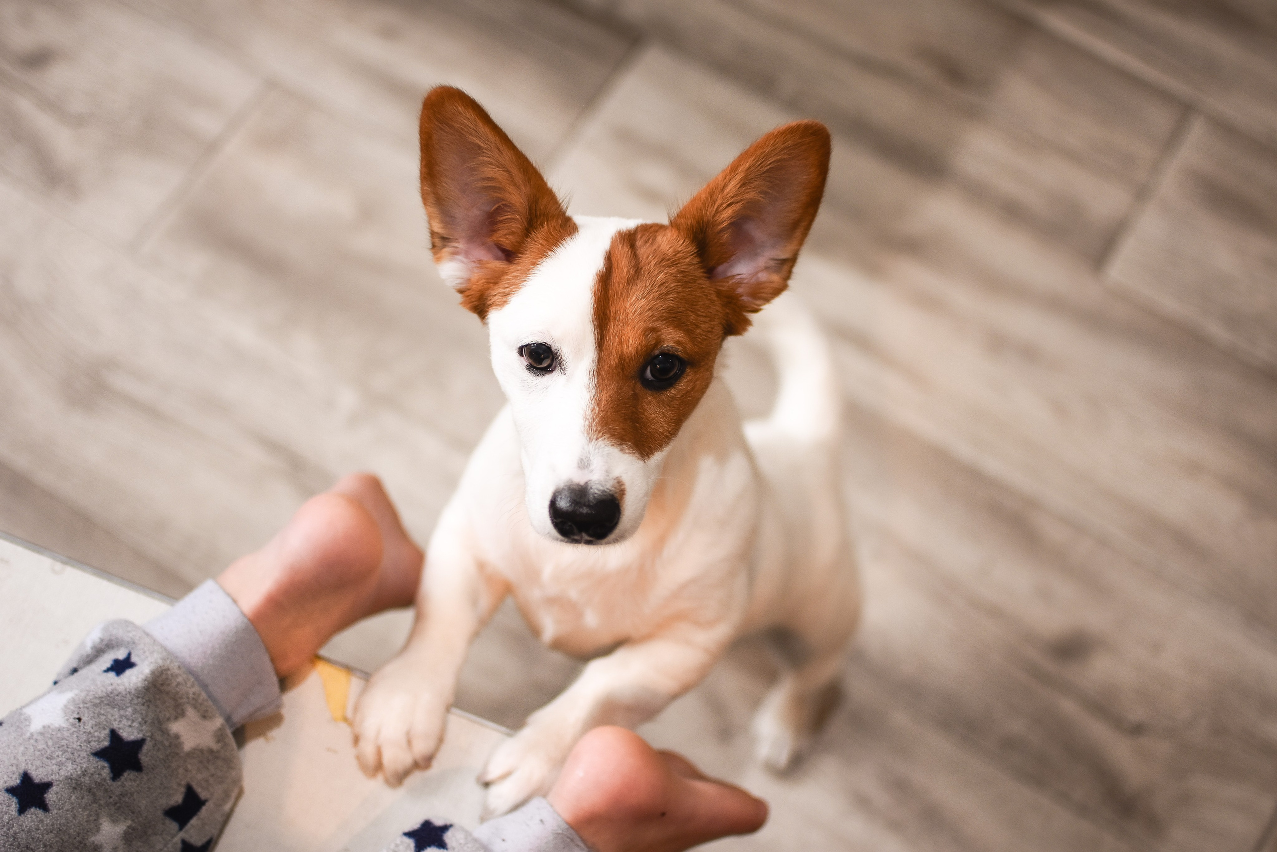 Детская съёмка (студия). Детский и семейный фотограф Алёна Васильева
