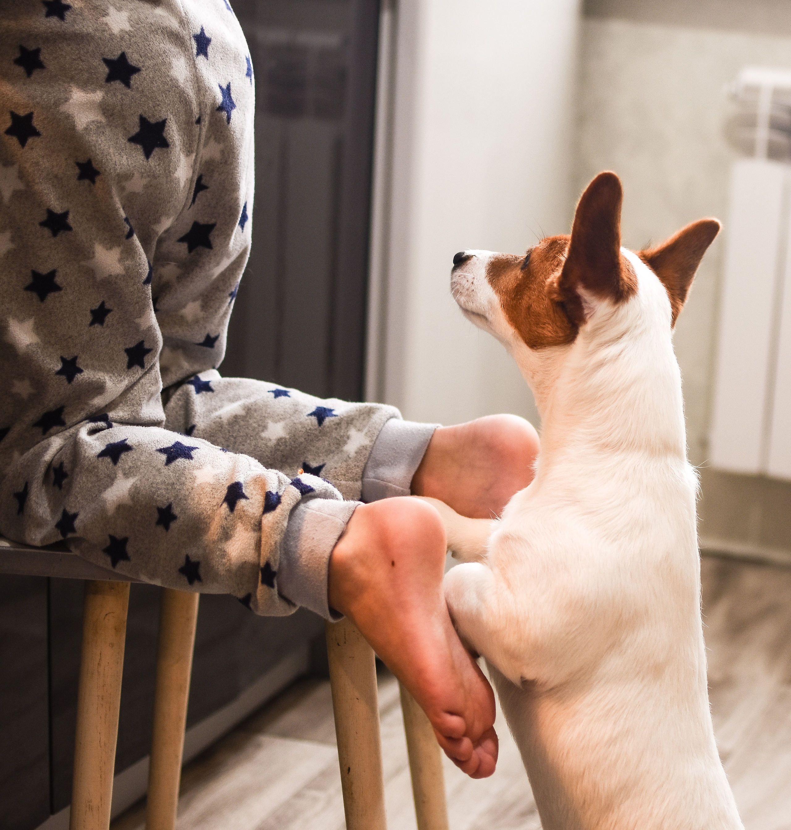 Детская съёмка (студия). Детский и семейный фотограф Алёна Васильева
