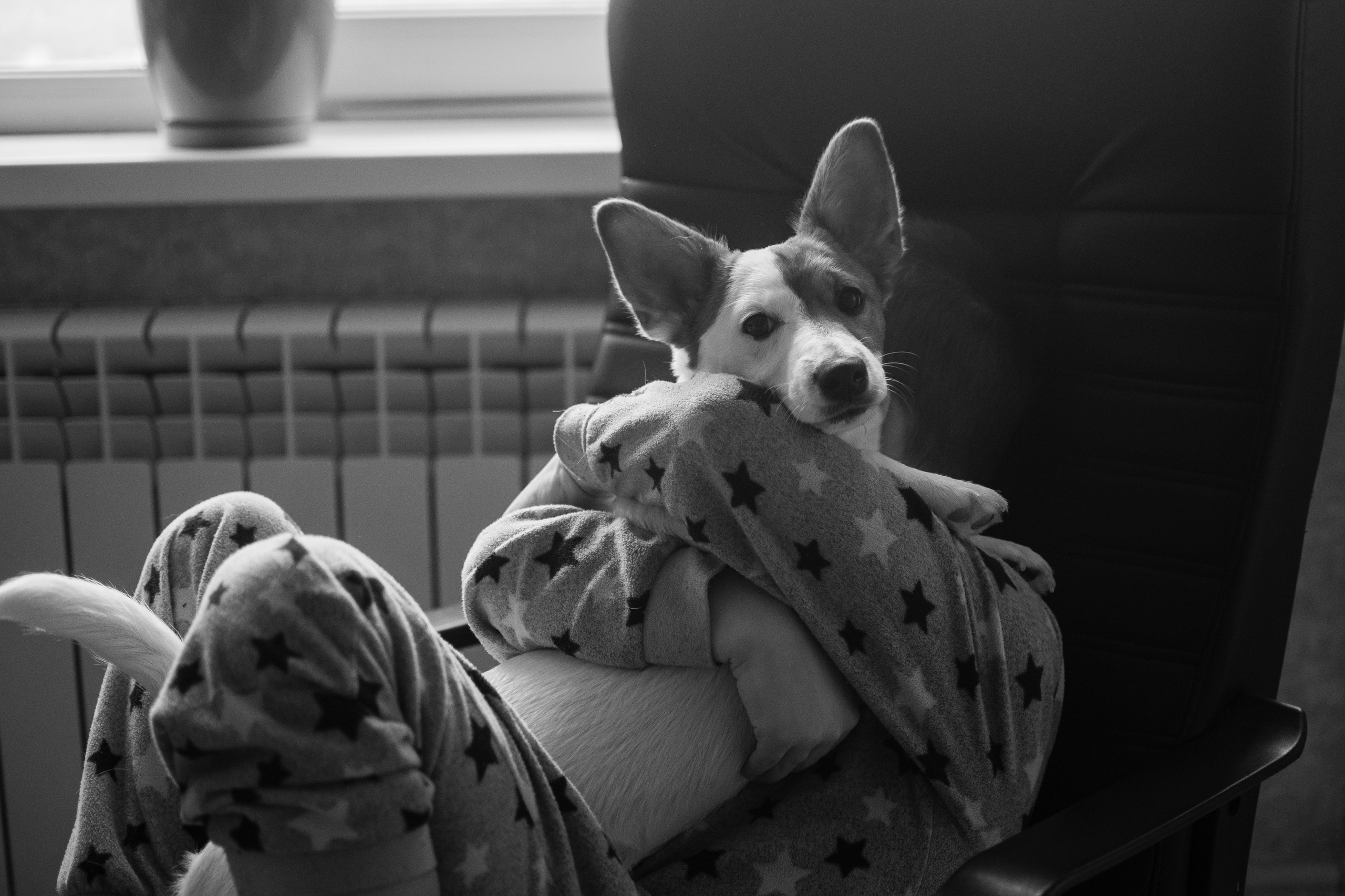 Детская съёмка (студия). Детский и семейный фотограф Алёна Васильева