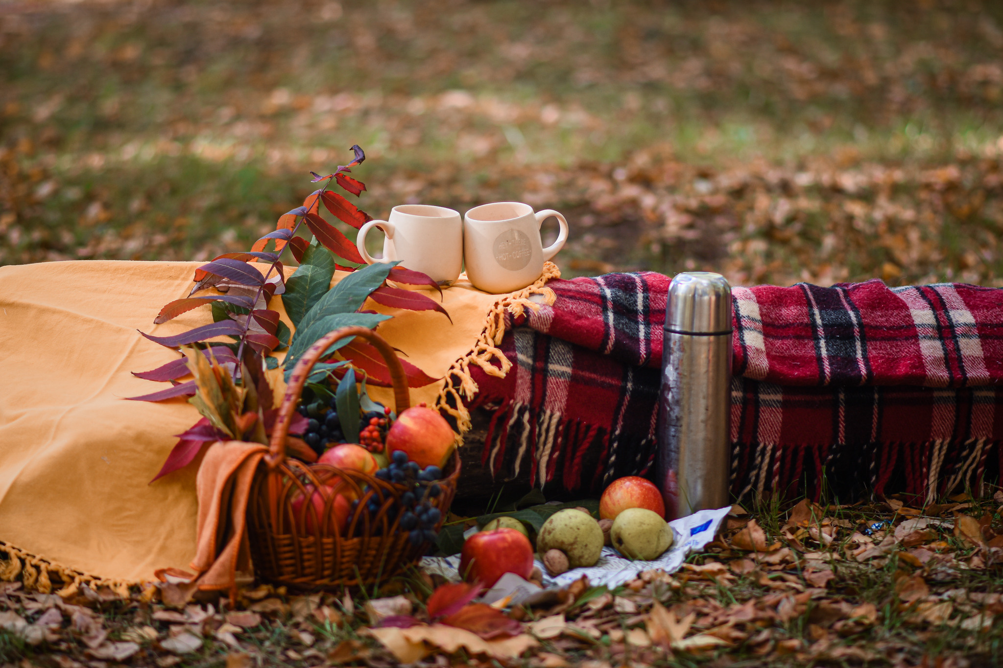 Посиделки у костра. Детский и семейный фотограф Алёна Васильева