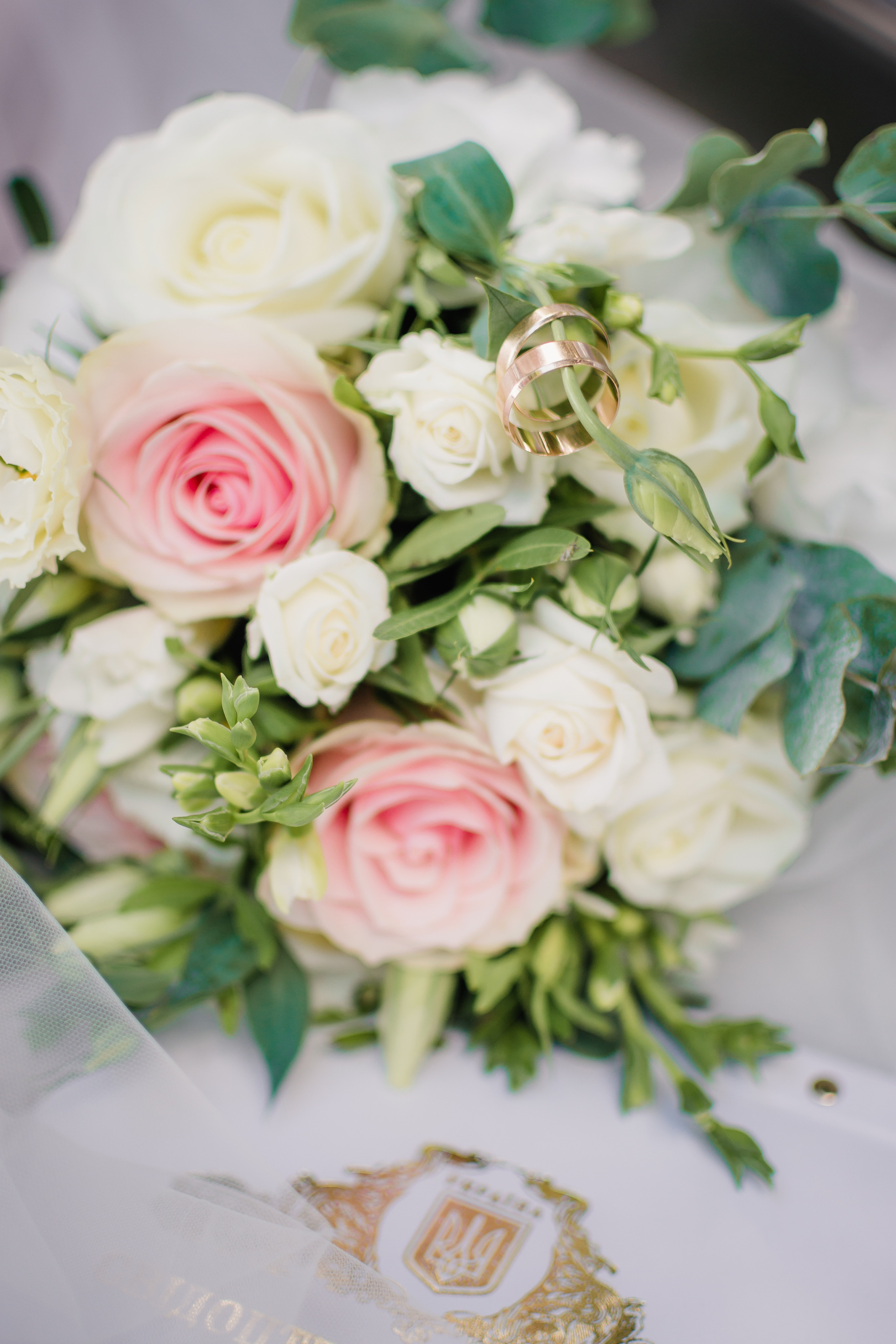 Свадебная съёмка. Детский и семейный фотограф Алёна Васильева