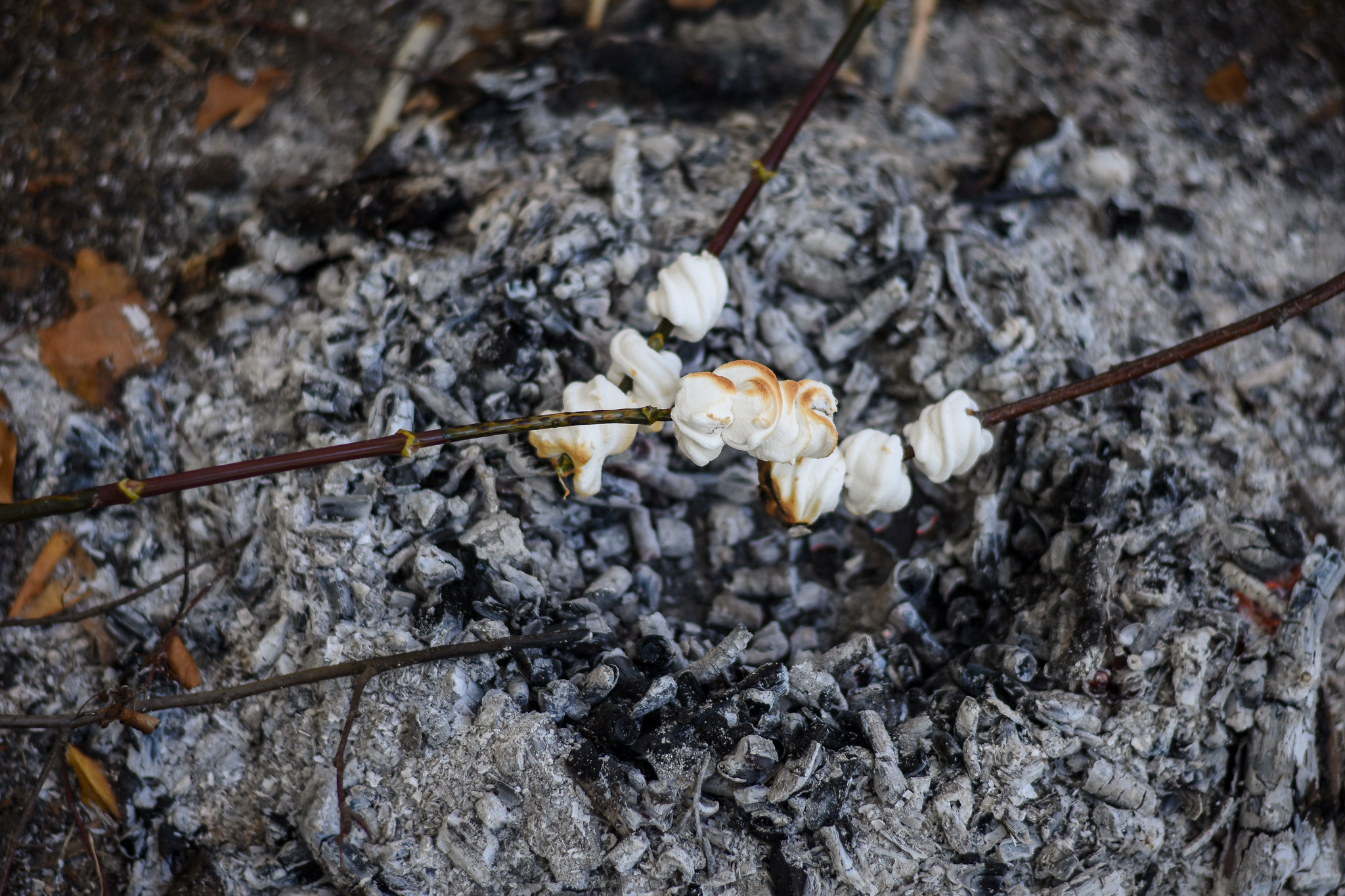 Посиделки у костра. Детский и семейный фотограф Алёна Васильева