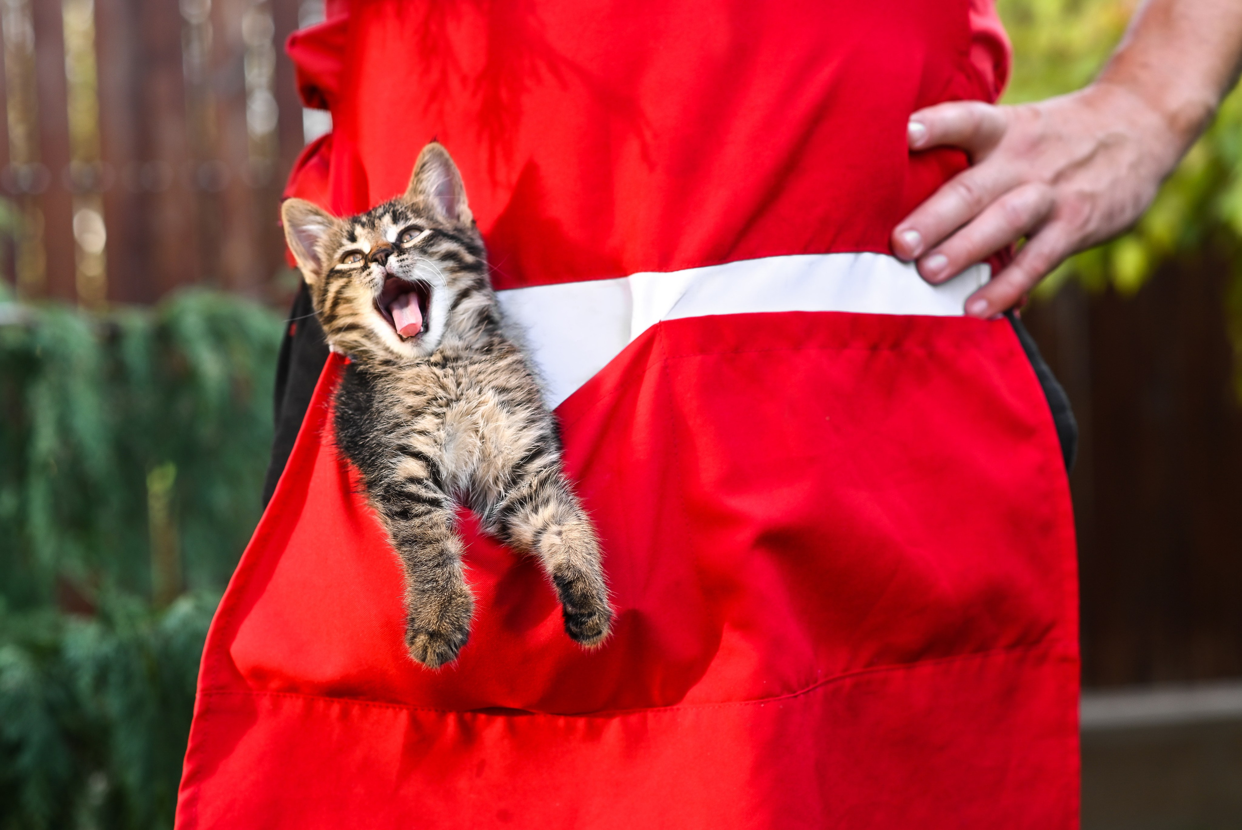 Фотосессия на пленере. Детский и семейный фотограф Алёна Васильева