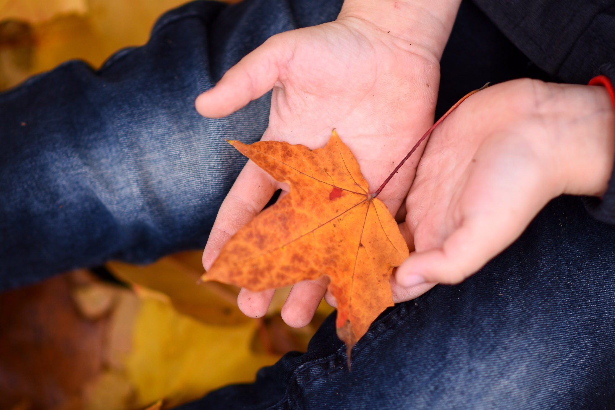 Фотосессия весёлого мальчишки с мамой. Детский и семейный фотограф Алёна Васильева