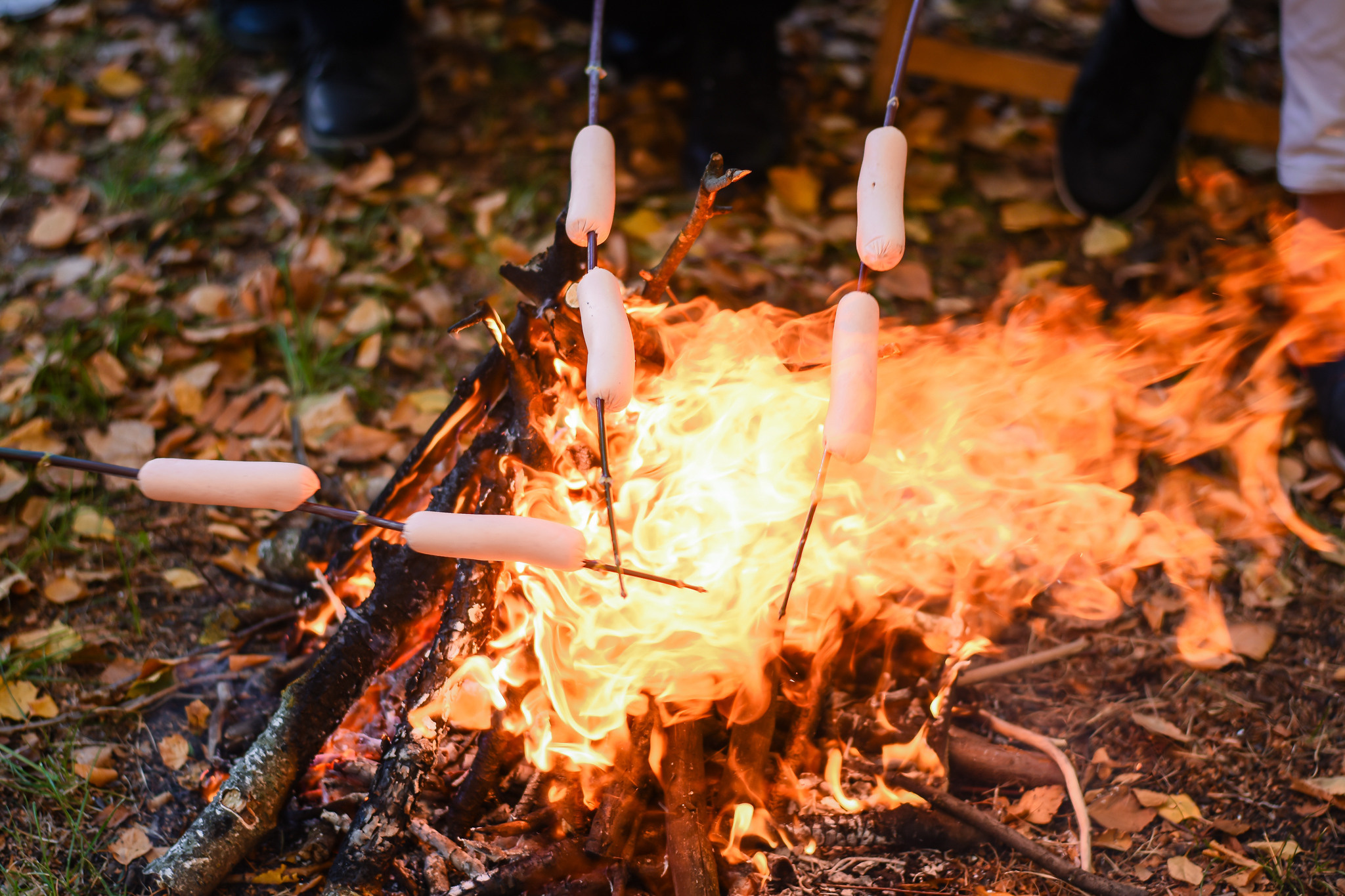 Посиделки у костра. Детский и семейный фотограф Алёна Васильева