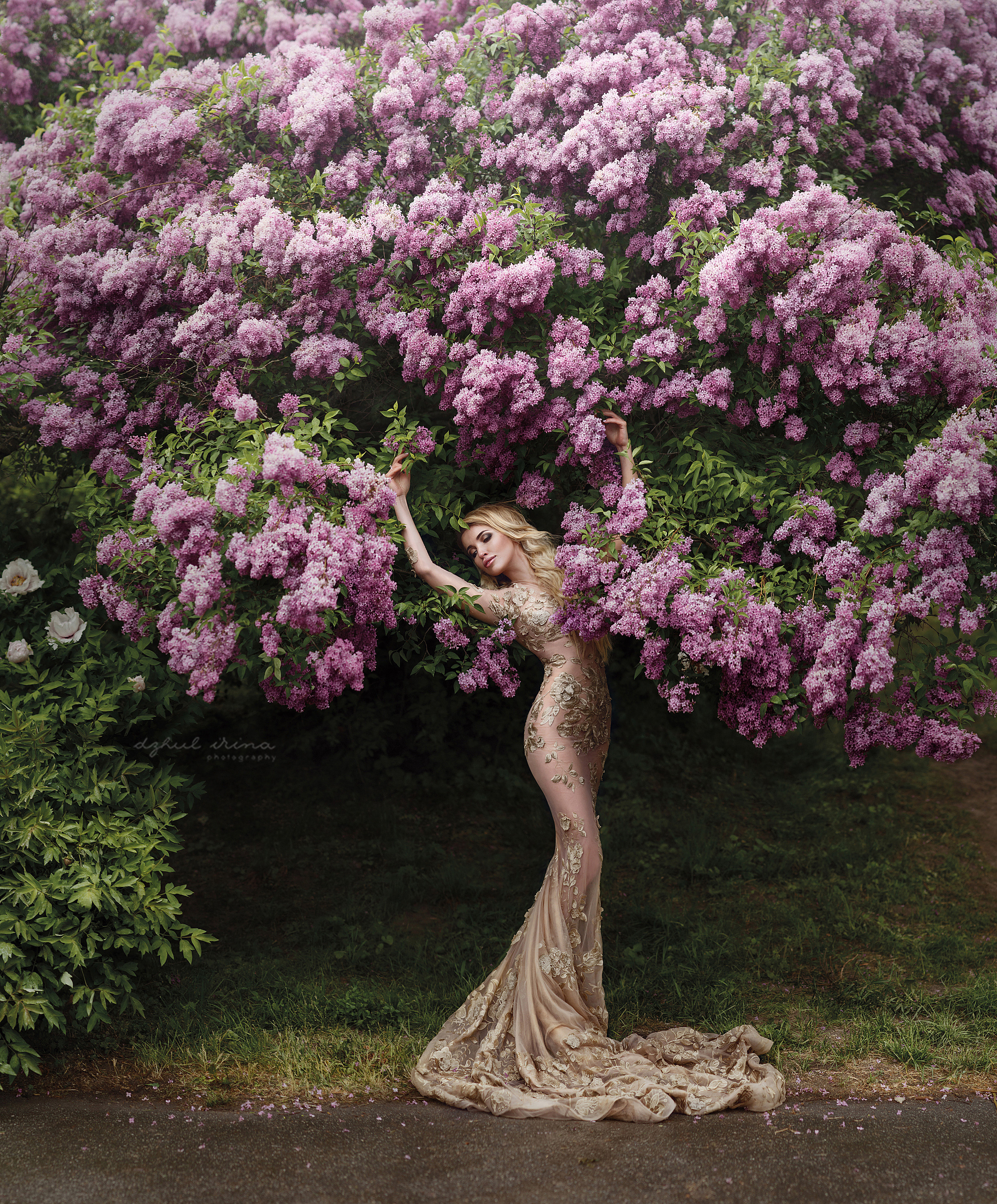 Project "Soul of the tree"