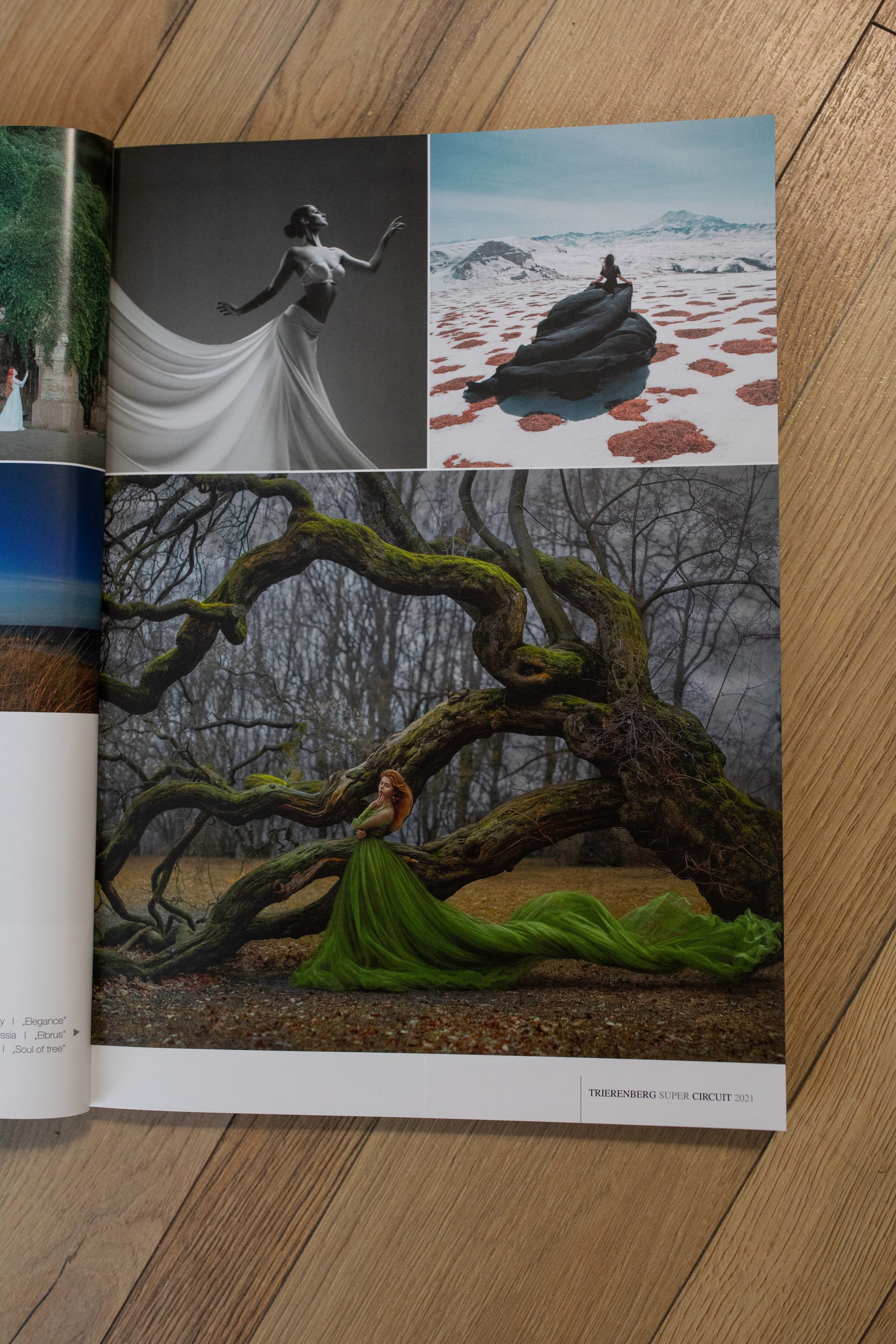 My awards. Art photographer in Amsterdam, the Netherlands Irina Dzhul