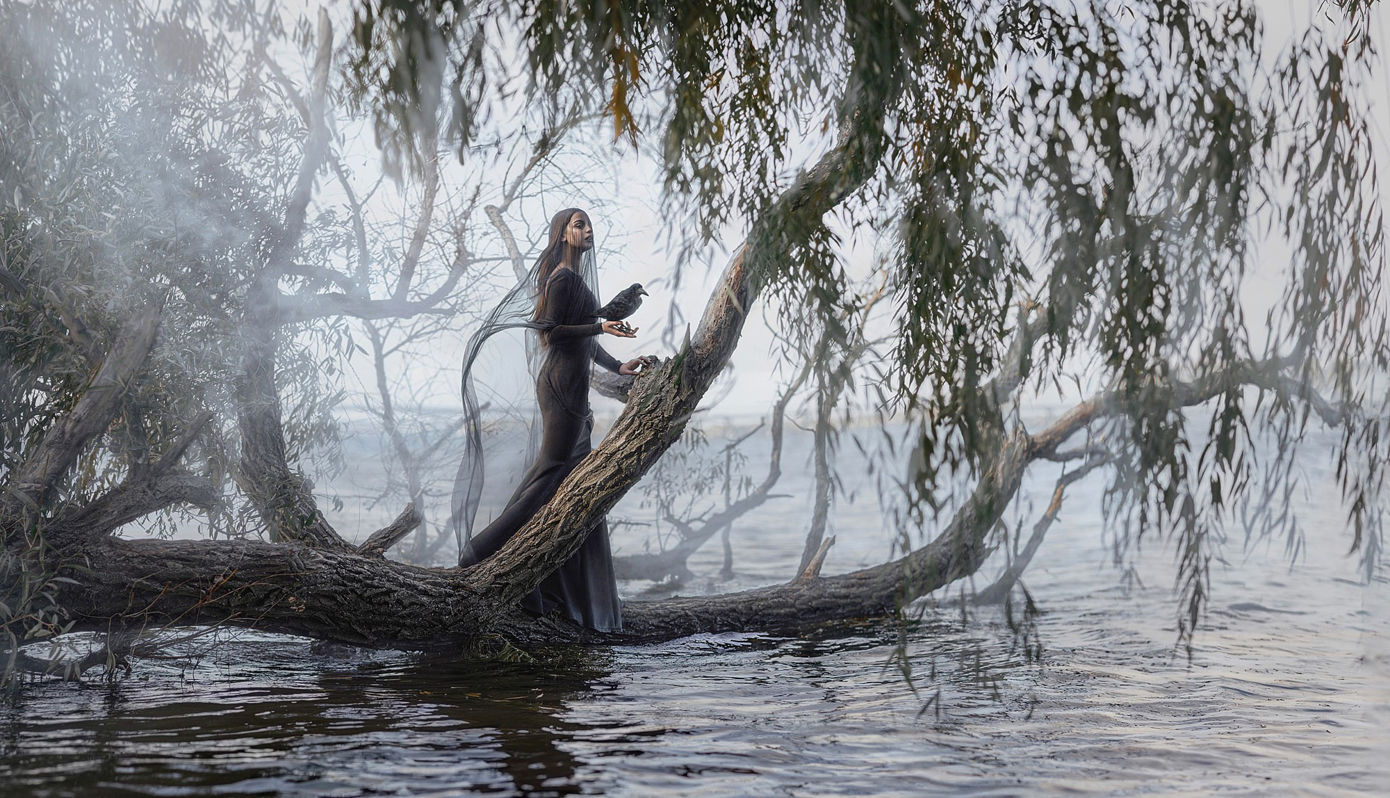 WATER TREE. Art photographer in Amsterdam, the Netherlands Irina Dzhul