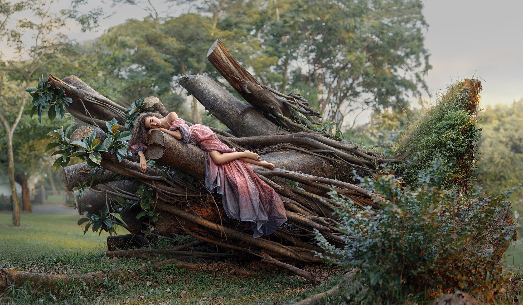 FICUS SOUL. Art photographer in Amsterdam, the Netherlands Irina Dzhul