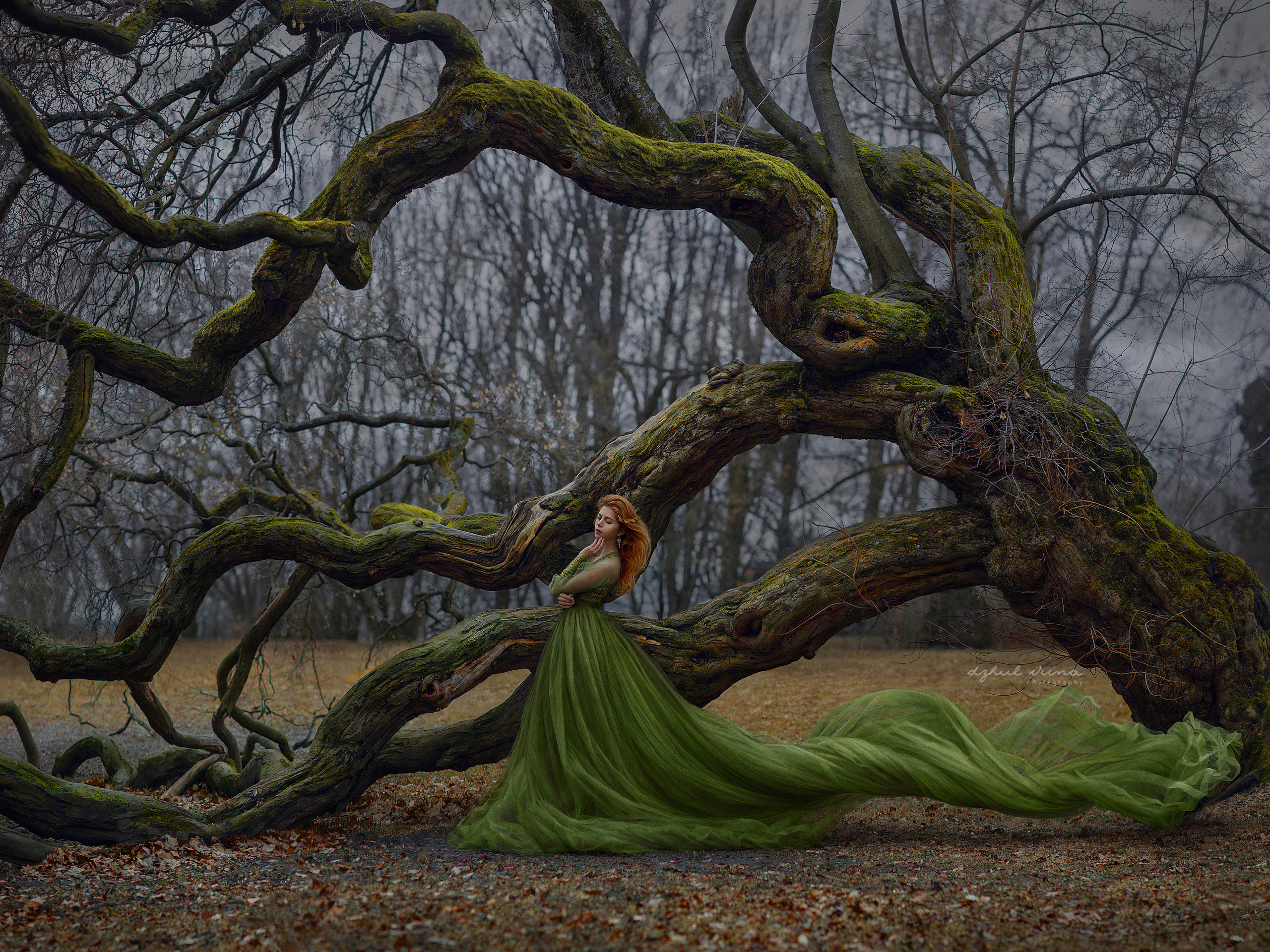 Project "Soul of the tree"