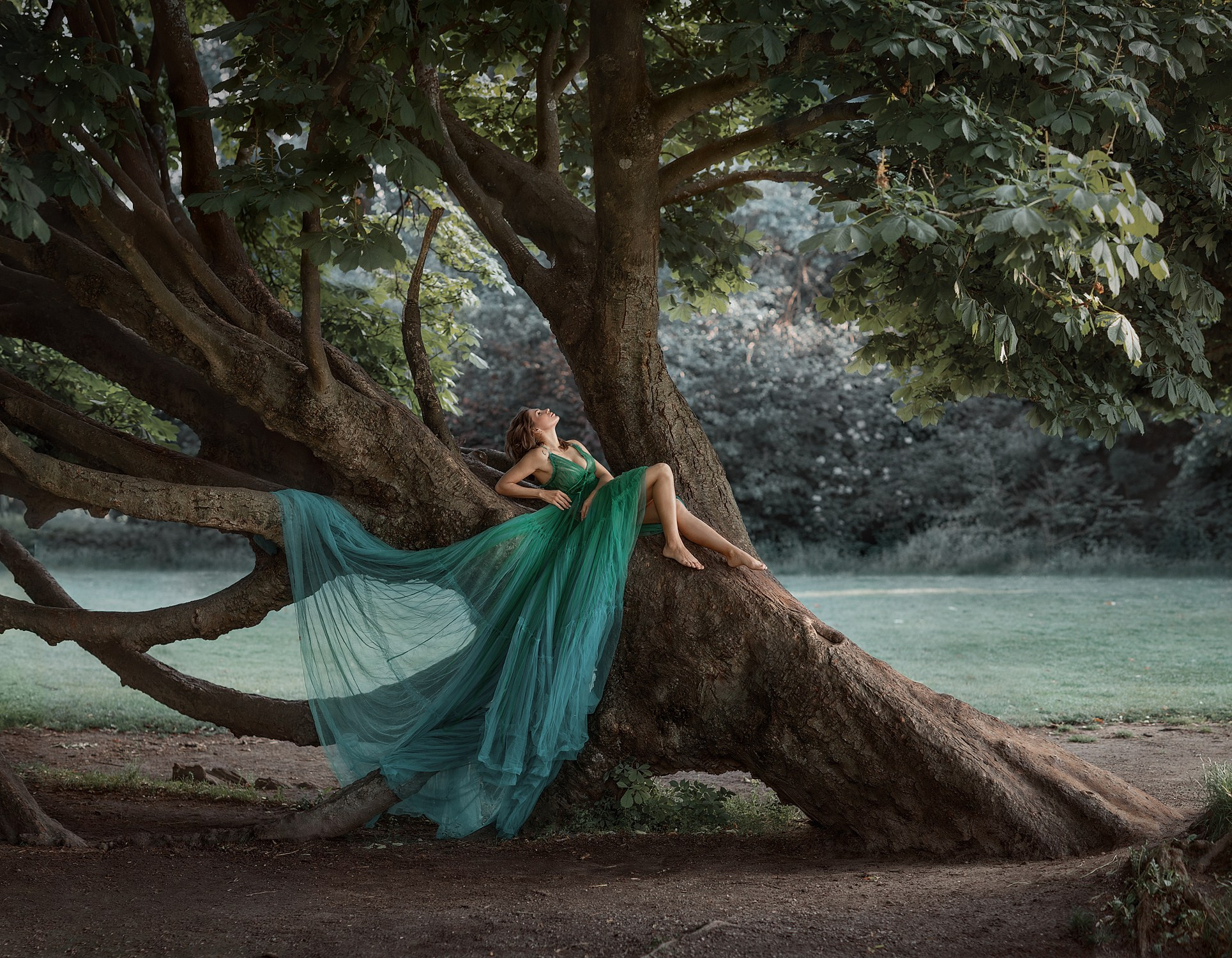 TREE DRYAD. Art photographer in Amsterdam, the Netherlands Irina Dzhul