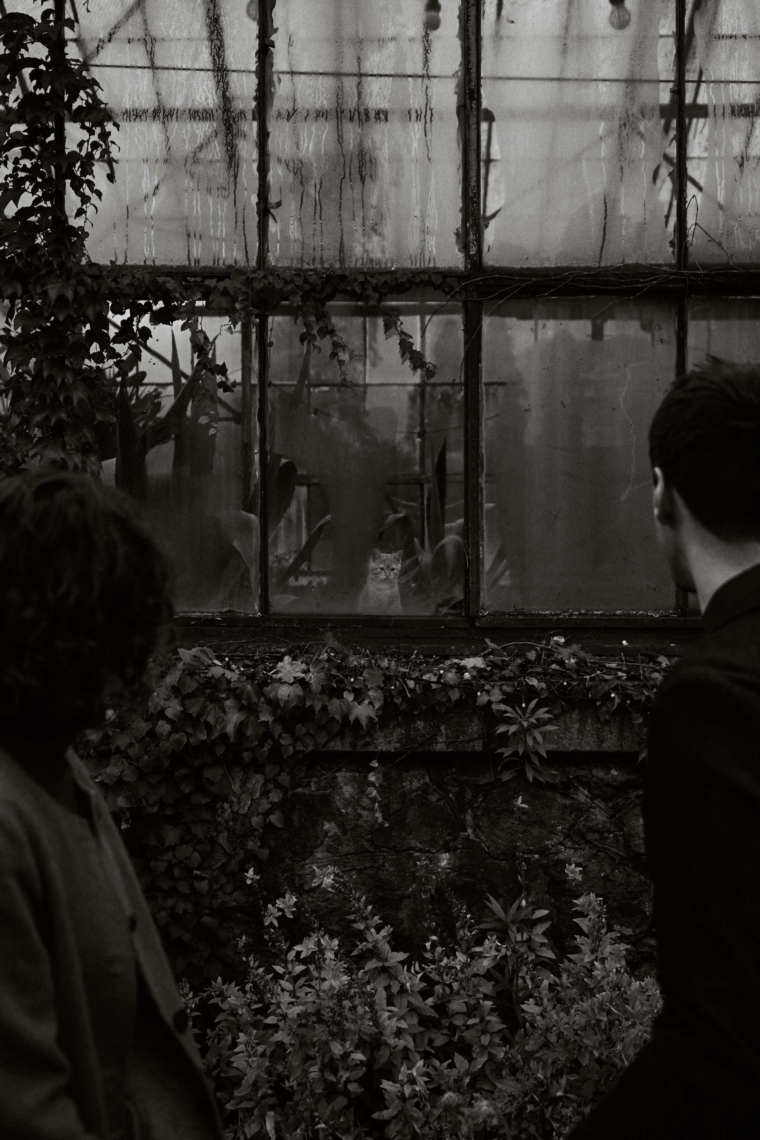 Ранок на двох. Фотограф Умань Київ (Ліза)