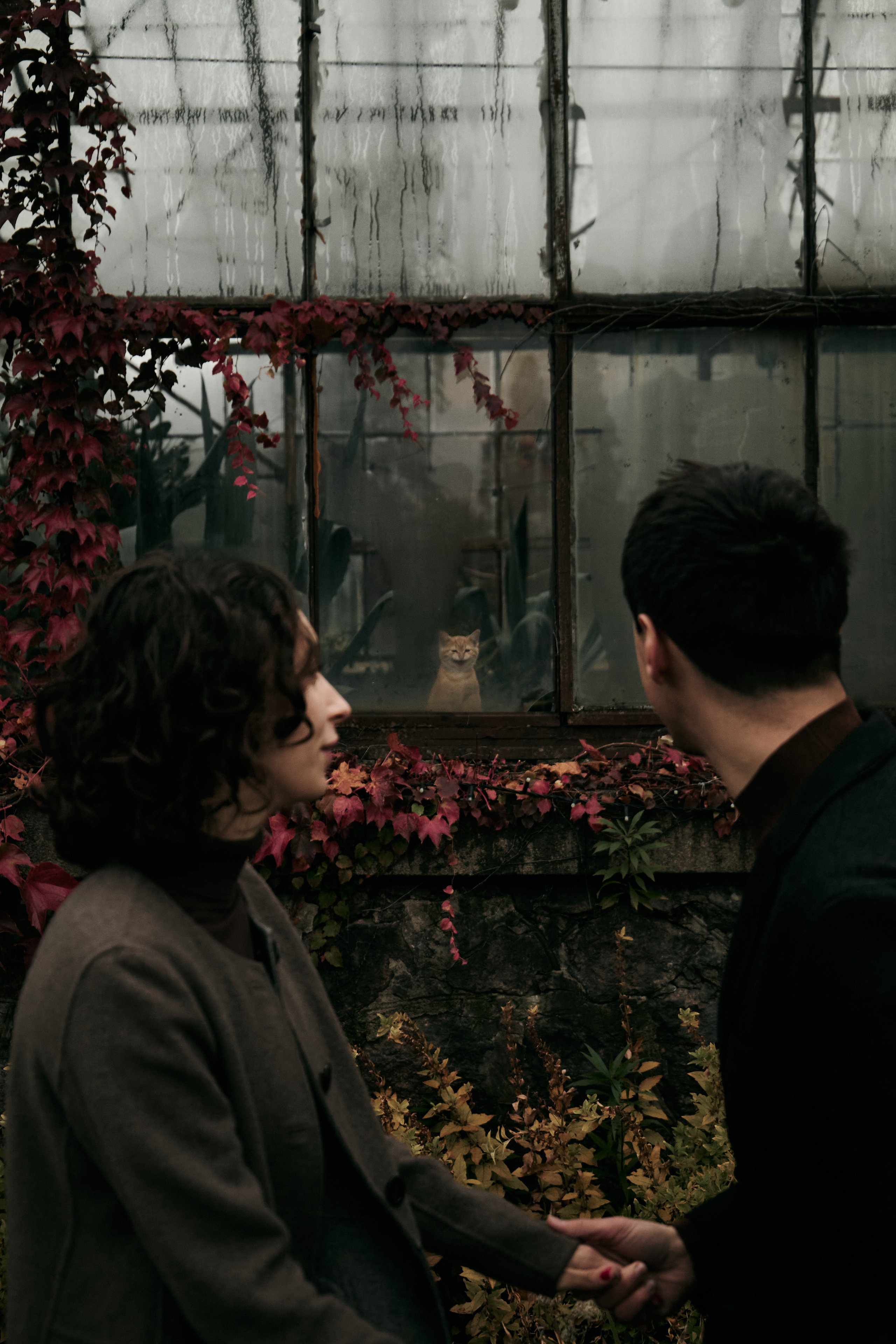 Ранок на двох. Фотограф Умань Київ (Ліза)