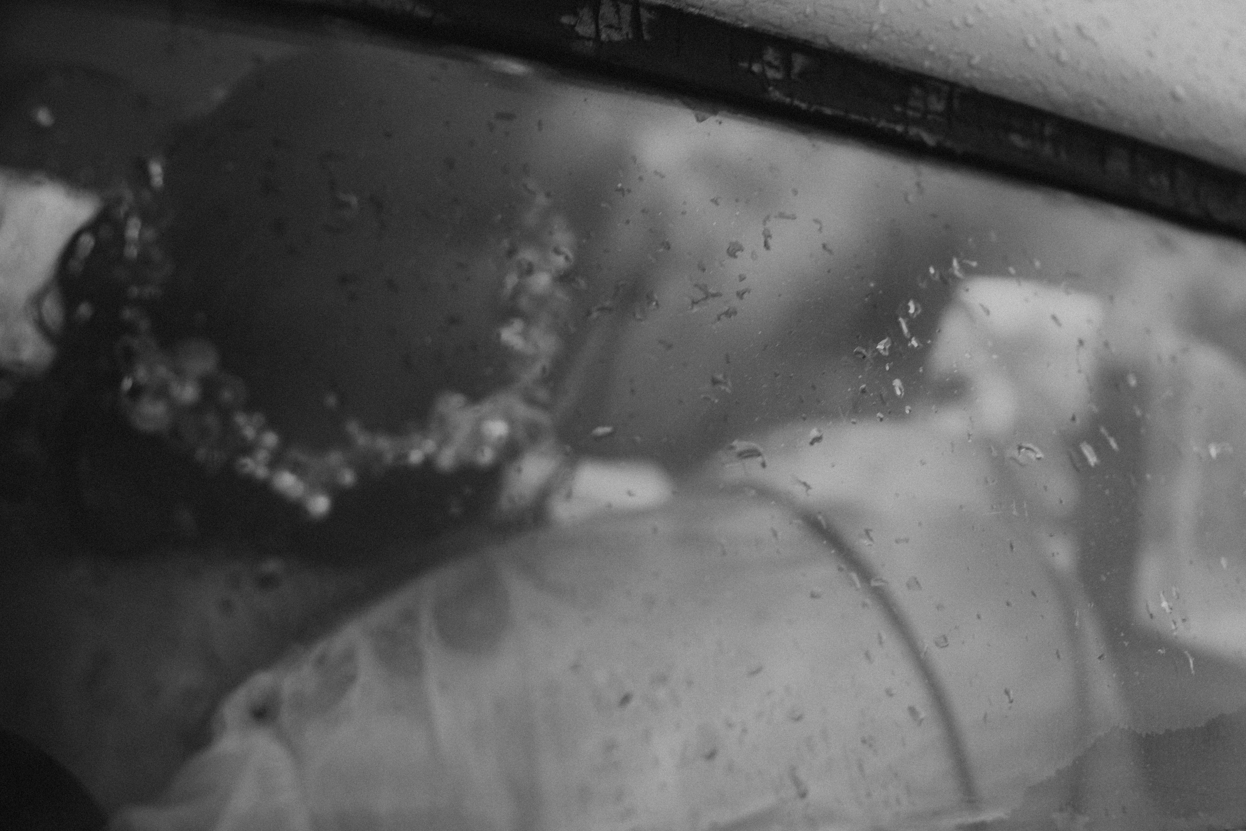 Прованс. Фотограф Умань Київ (Ліза)