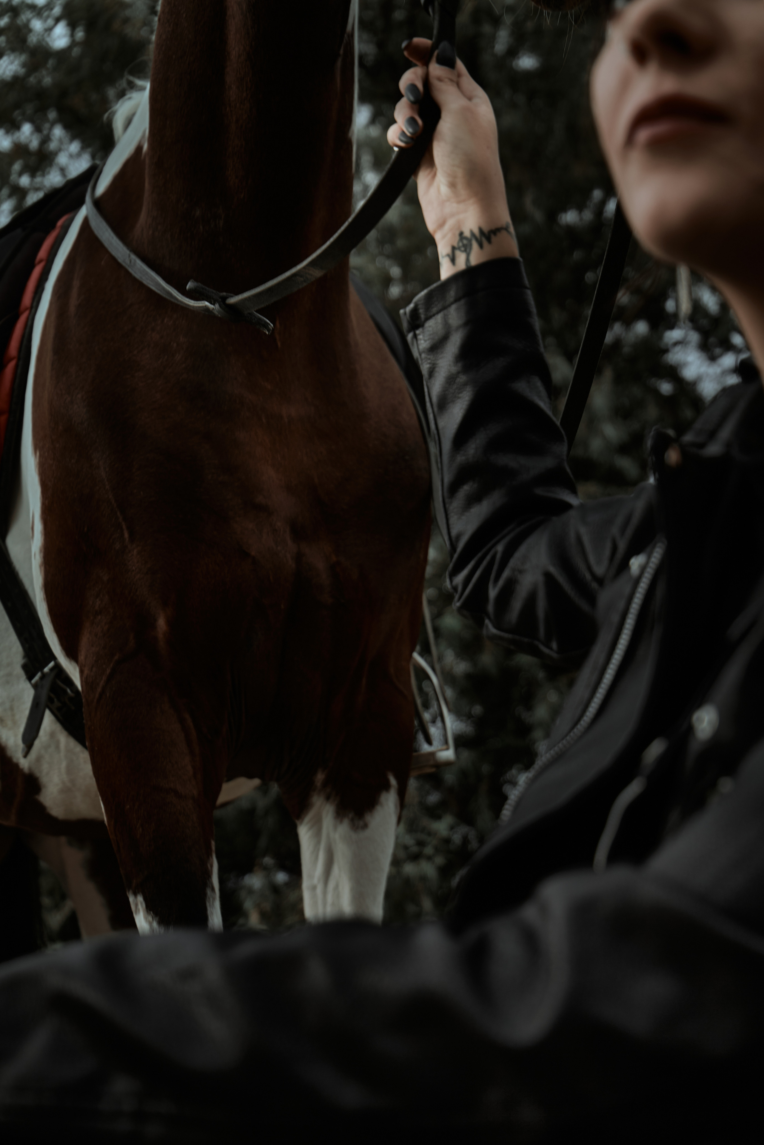 Жокей. Фотограф Умань Київ (Ліза)