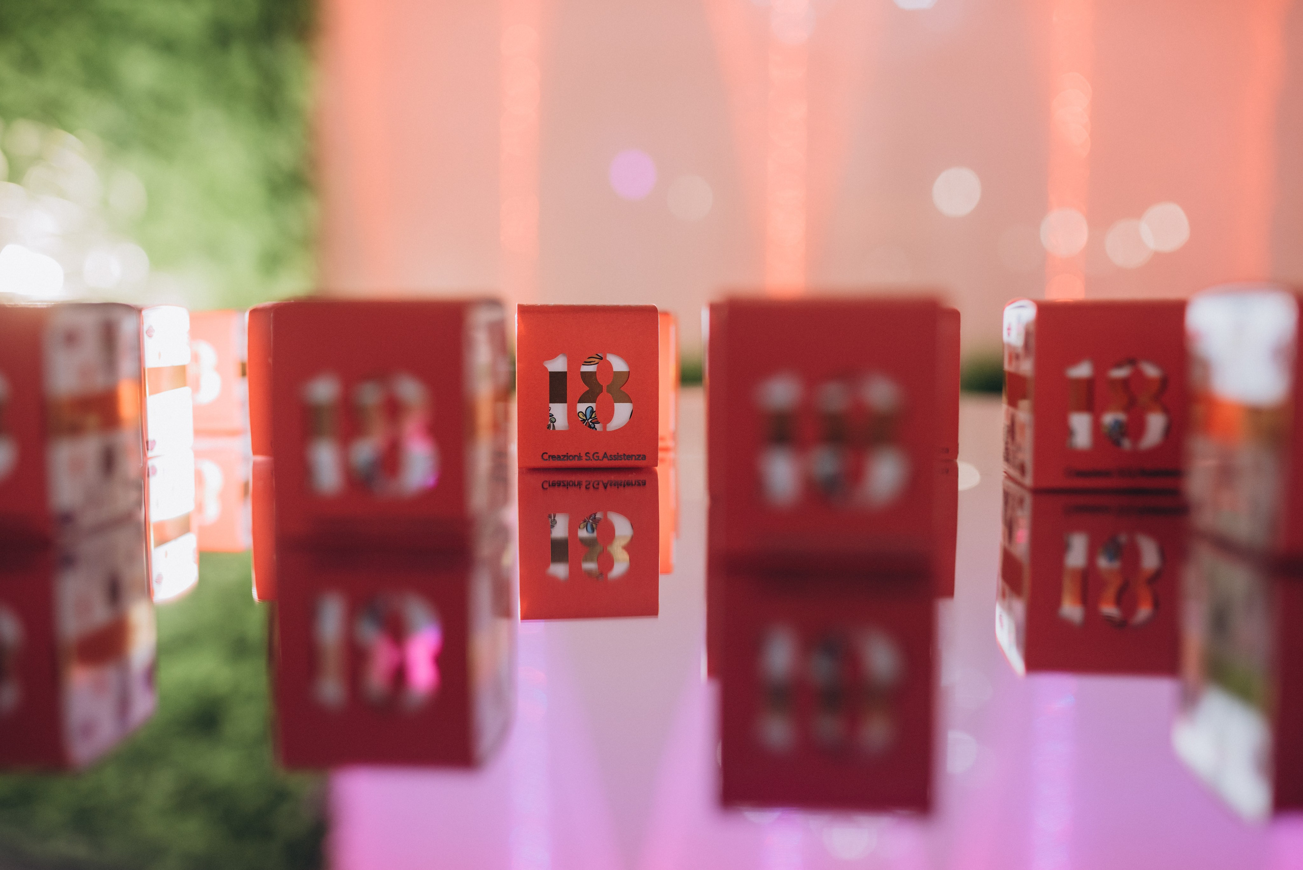 Compleanno di Michele. Ciao, benvenuta! Sono Anastasia la vostra fotografa per il matrimonio