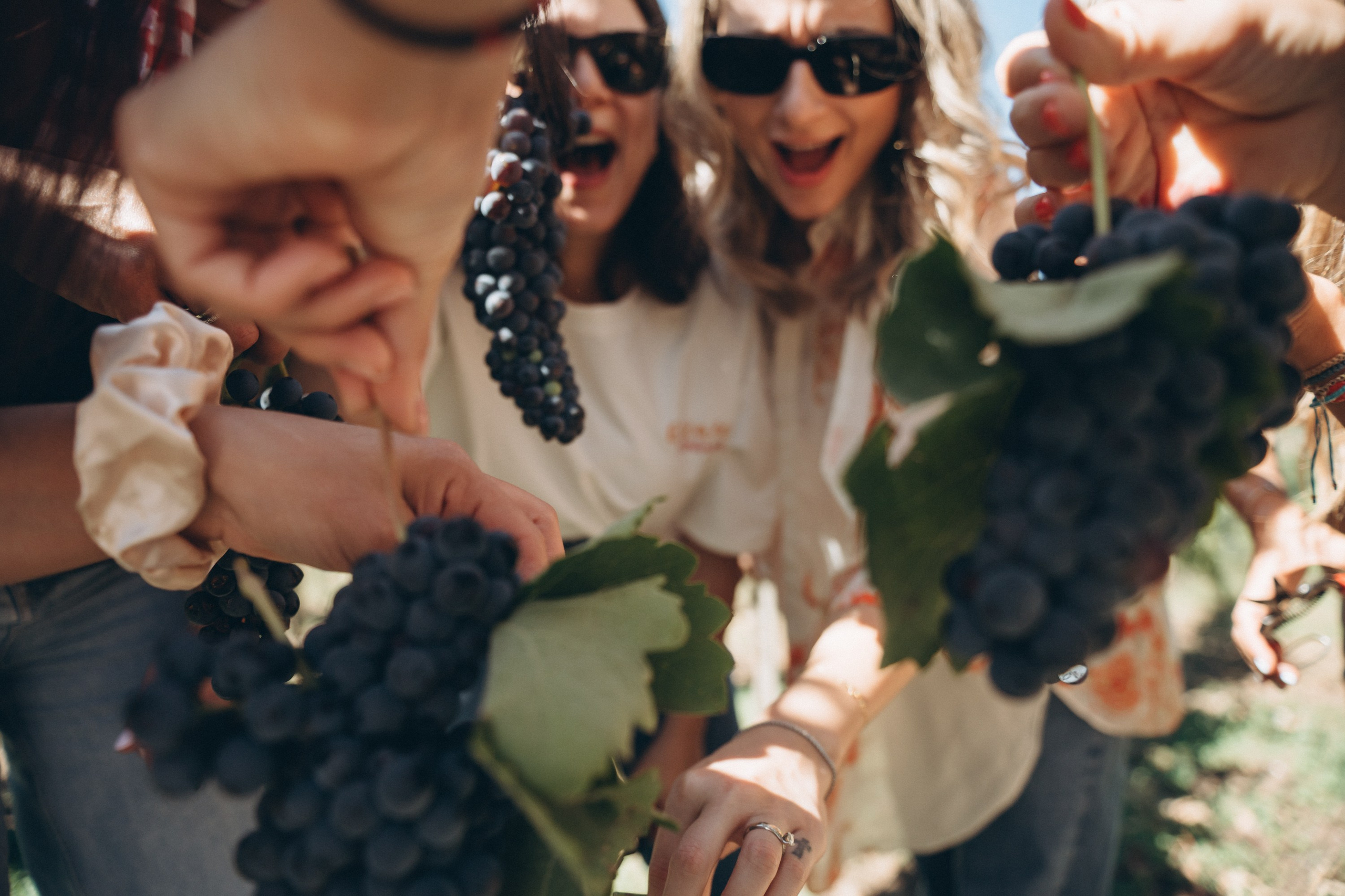 Ciao, benvenuta! Sono Anastasia la vostra fotografa per il matrimonio