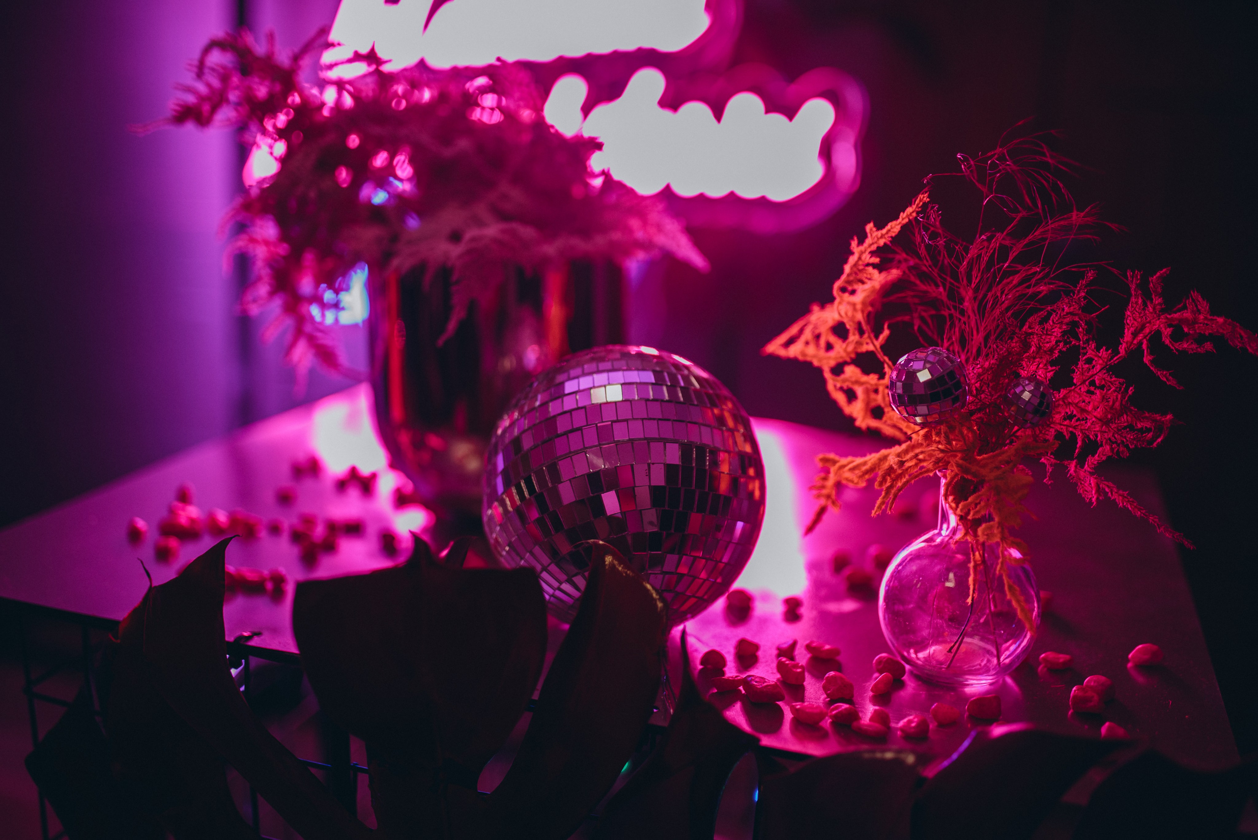 COMPLEANNO DI LUDOVICA. Ciao, benvenuta! Sono Anastasia la vostra fotografa per il matrimonio