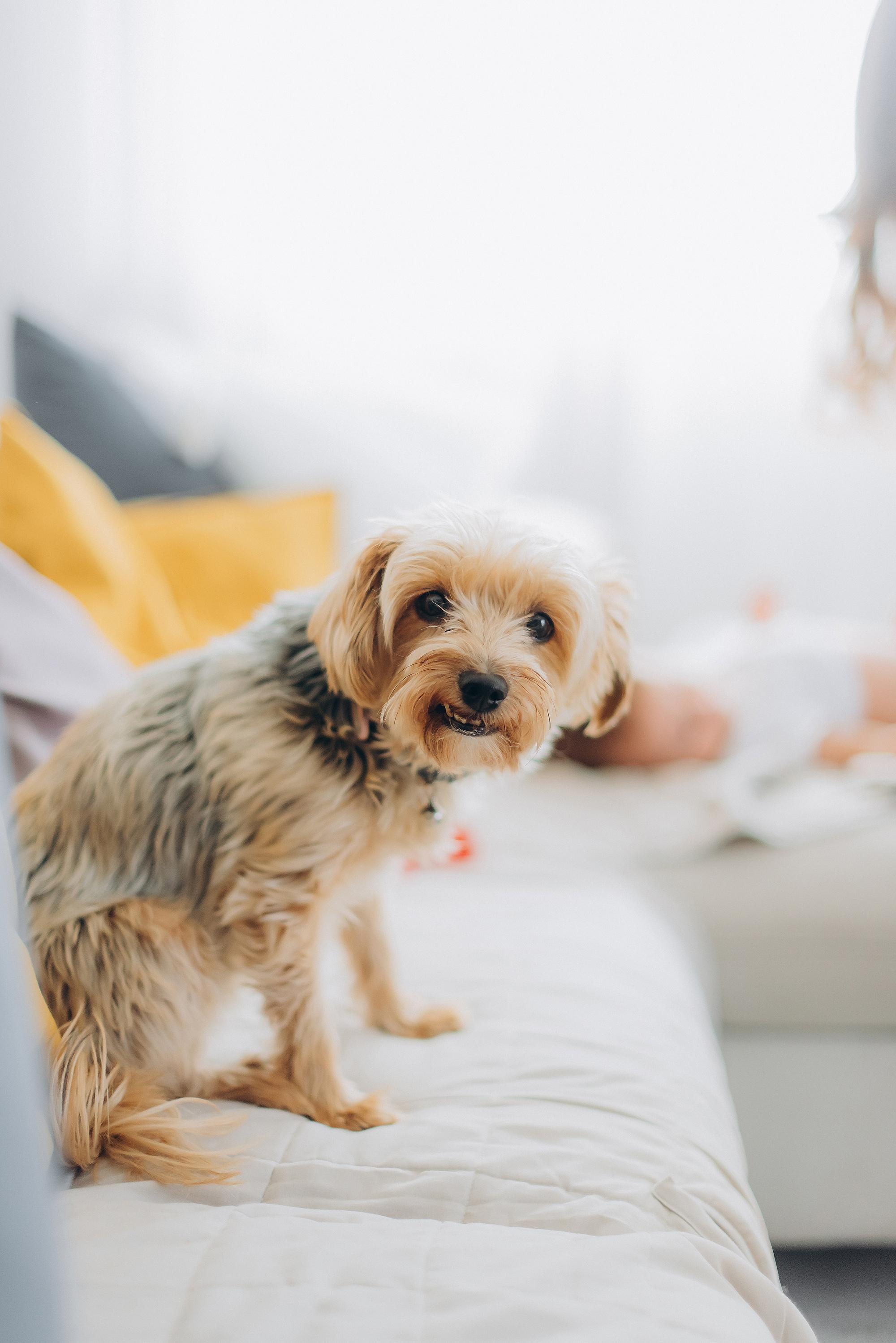 Battesimo di Nicole. Ciao, benvenuta! Sono Anastasia la vostra fotografa per il matrimonio