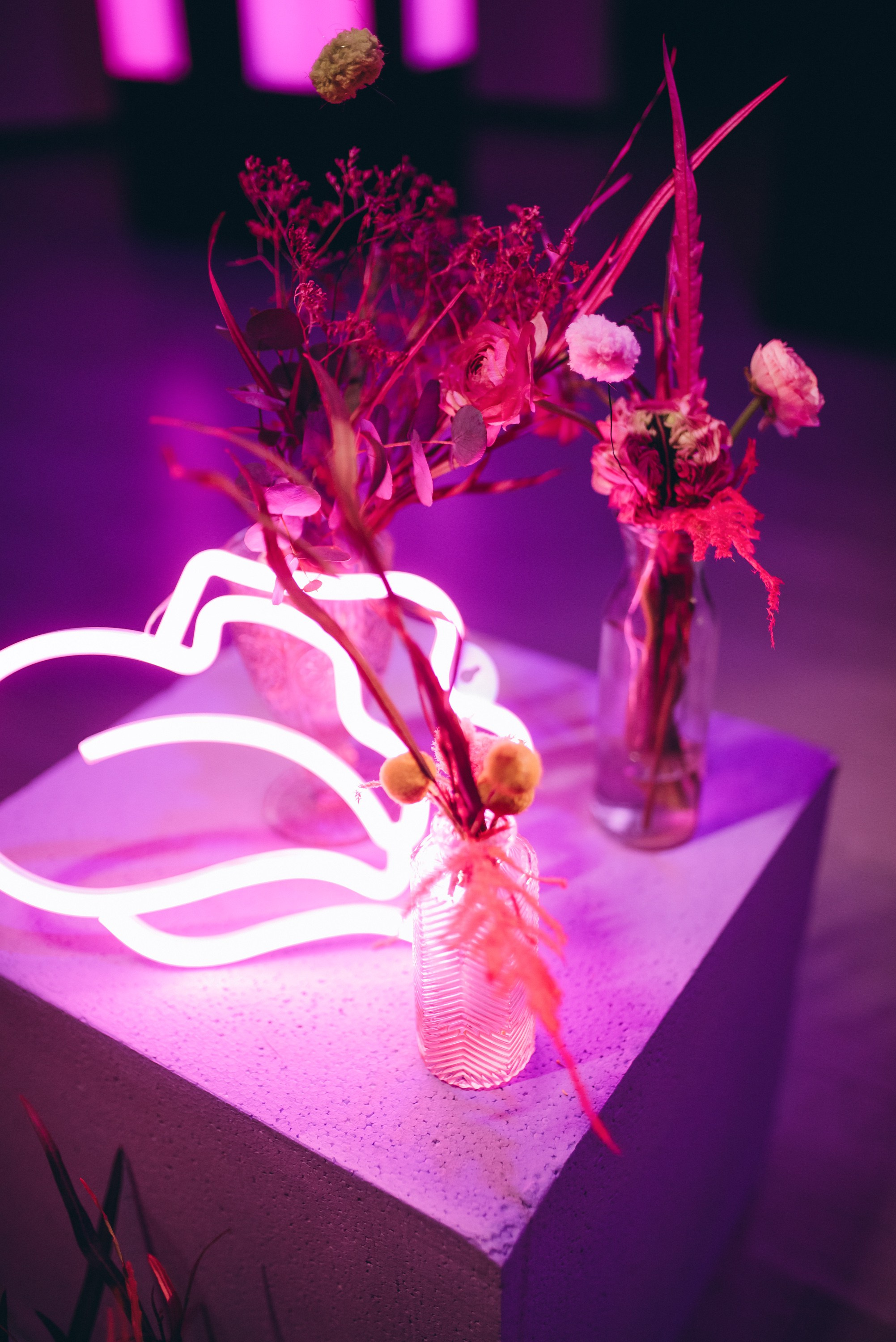 COMPLEANNO DI LAURA. Ciao, benvenuta! Sono Anastasia la vostra fotografa per il matrimonio